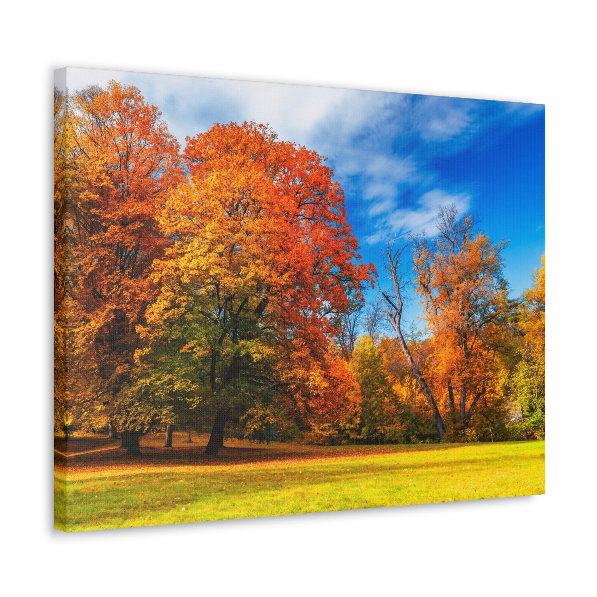 Autumn Fall Scene Beautiful Autumn Forest Path Beauty Nature Scene Bright Light Sun Wall Art Ready to Hang-Express Your Love Gifts