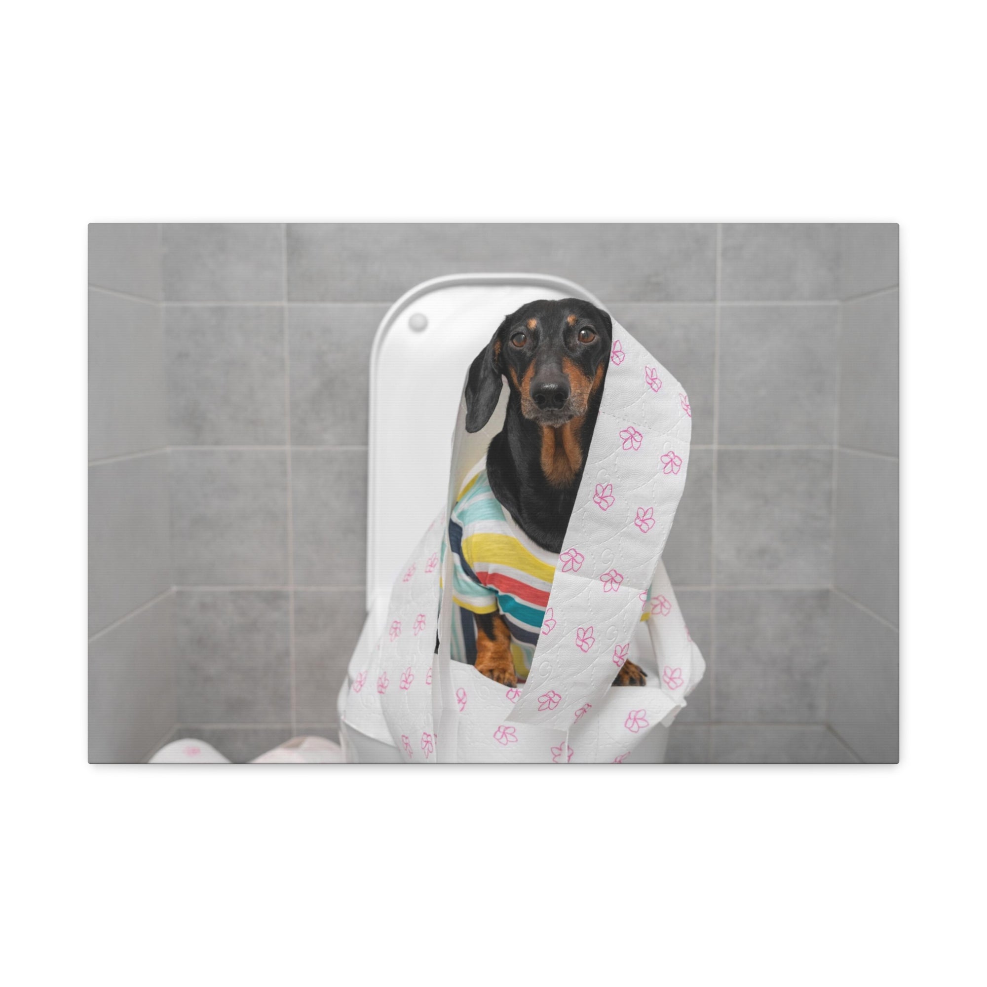 Funny Dachshund Colorful T-shirt On Toilet Funny Canvas Wall Art for Home Decor Ready-to-Hand-Express Your Love Gifts