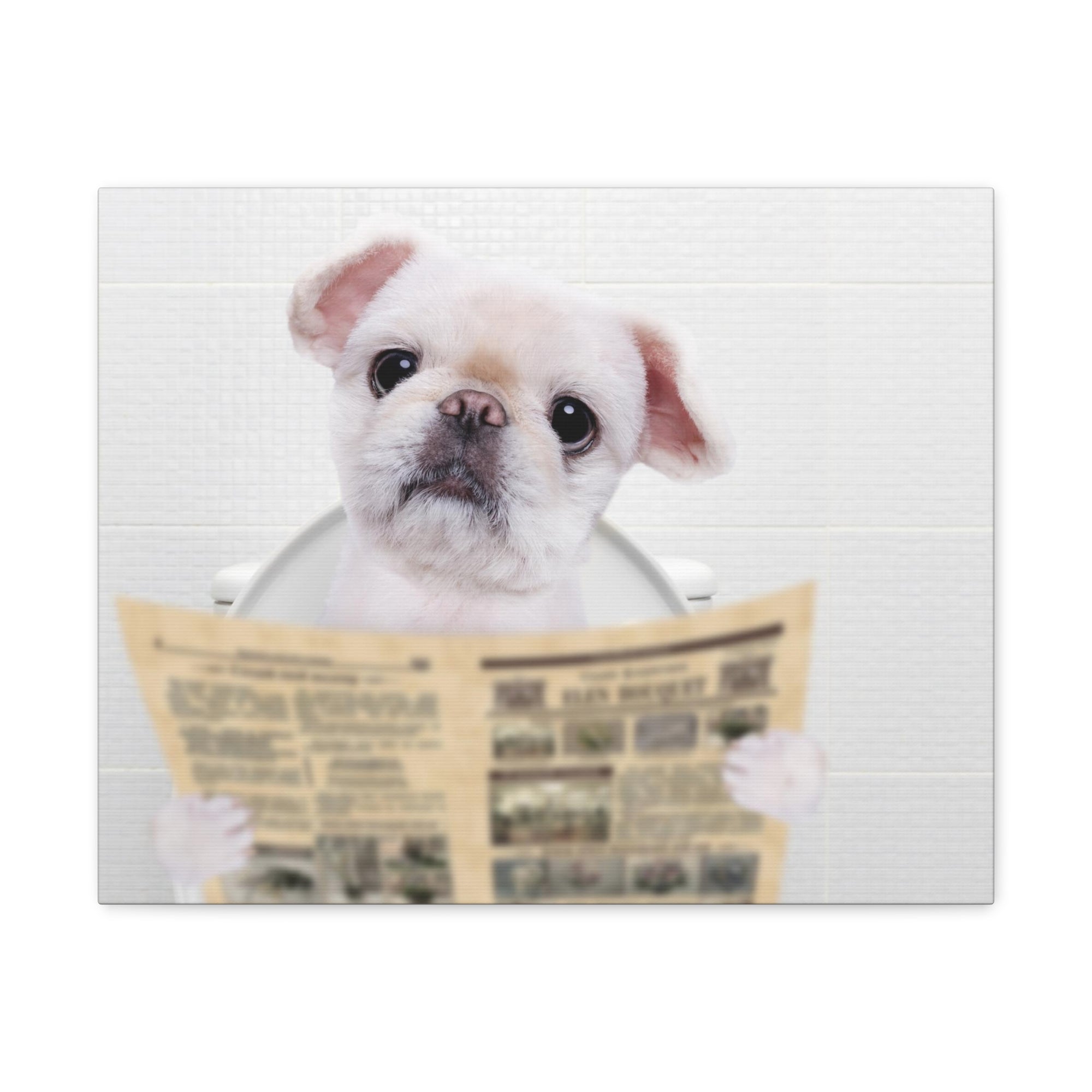 Cute Dog Reading Newspaper On Toilet Funny Canvas Wall Art for Home Decor Ready-to-Hand-Express Your Love Gifts