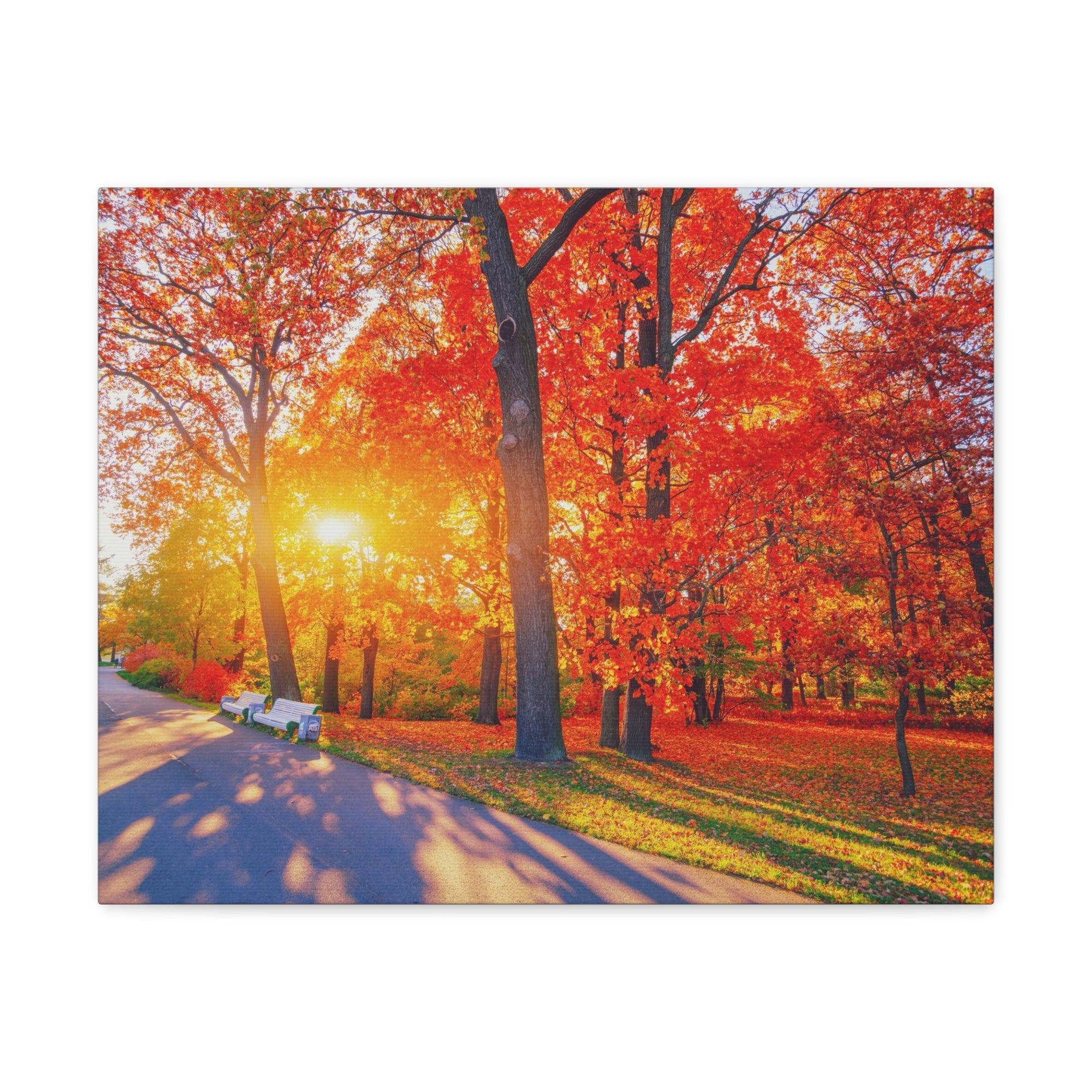 Autumn Path Orange Tree Trail Nature Wilderness Photography Canvas Wall Art for Home Decor Ready-to-Hang-Express Your Love Gifts