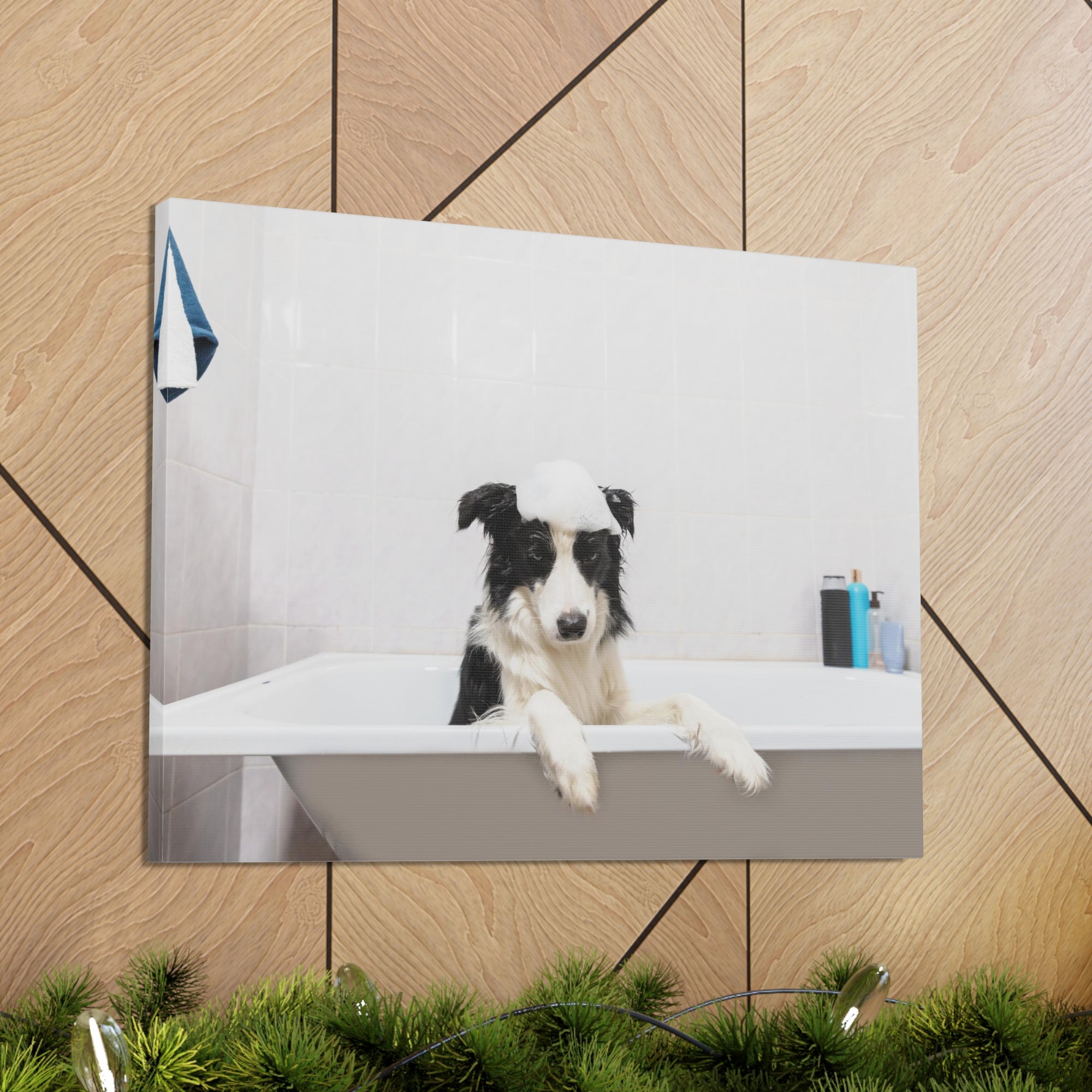 Funny Border Collie Bathee Canvas Wall Art for Home Decor Ready-to-Hang-Express Your Love Gifts