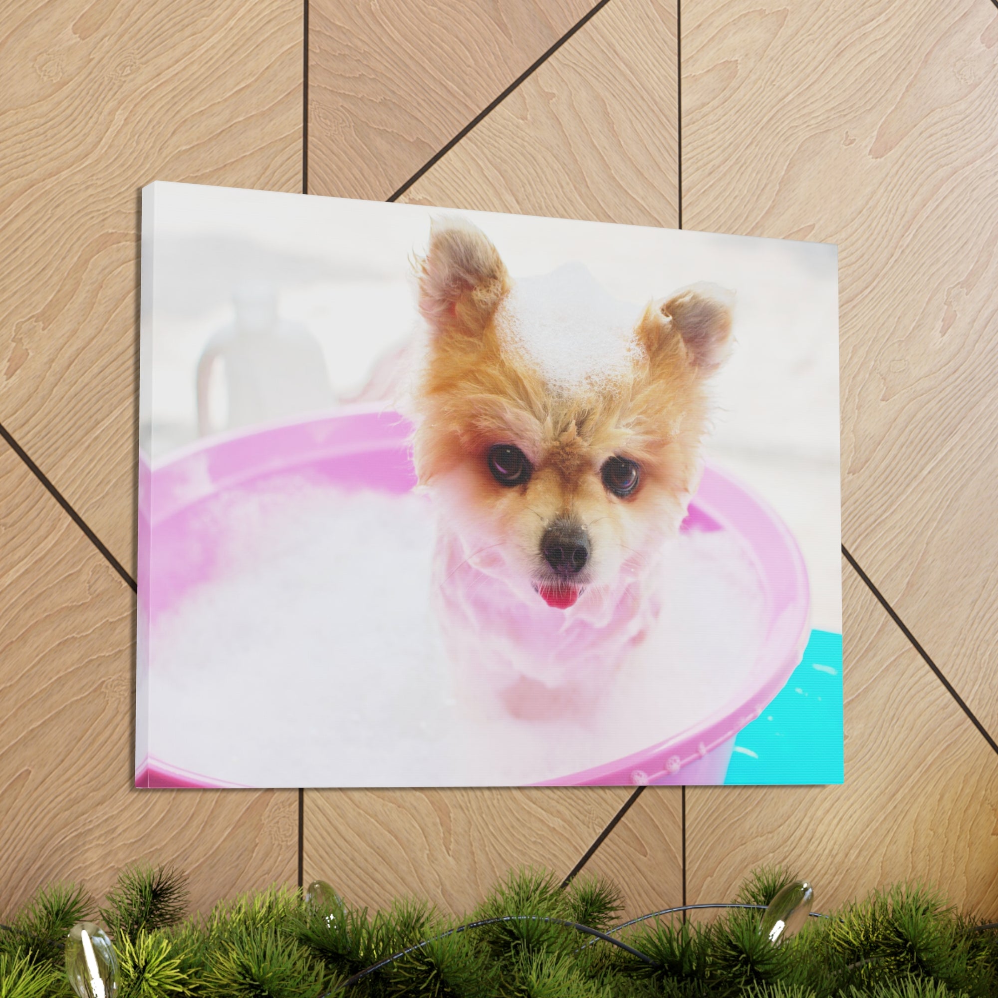 Funny Pomeranian Bath Canvas Wall Art for Home Decor Ready-to-Hang-Express Your Love Gifts