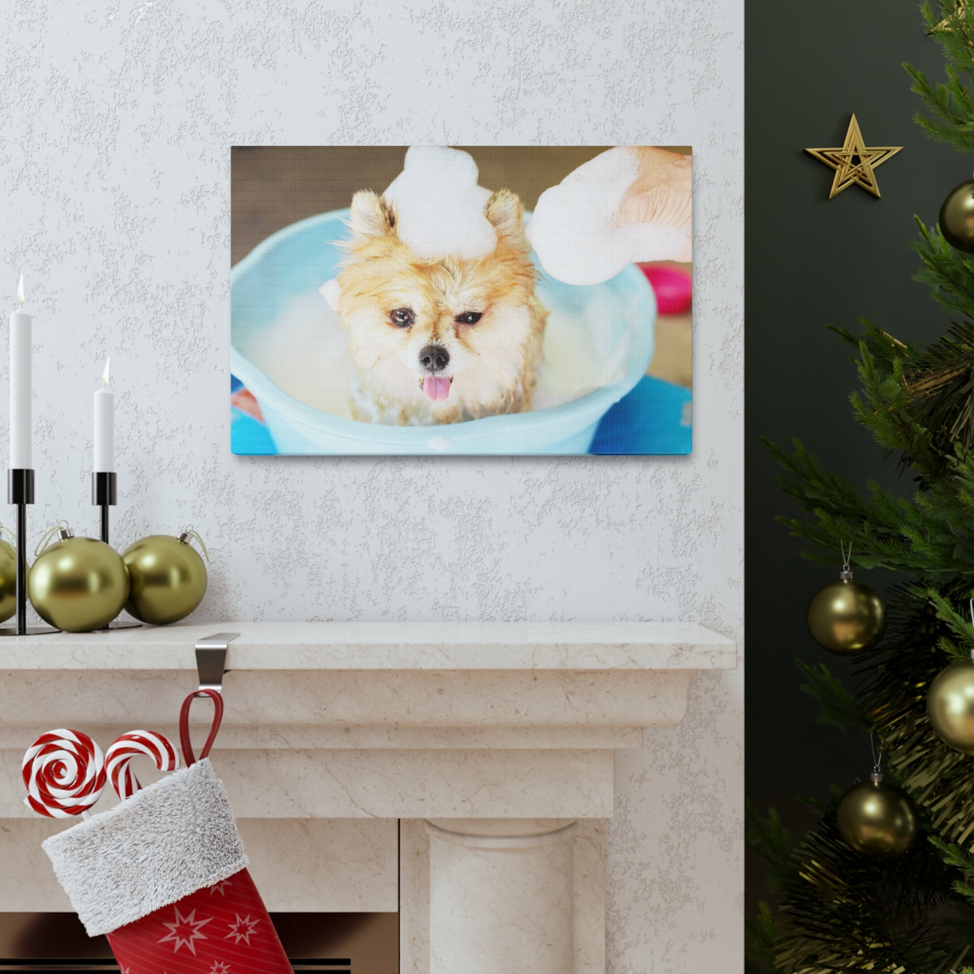 Funny Pomeranian Bathee Canvas Wall Art for Home Decor Ready-to-Hang-Express Your Love Gifts