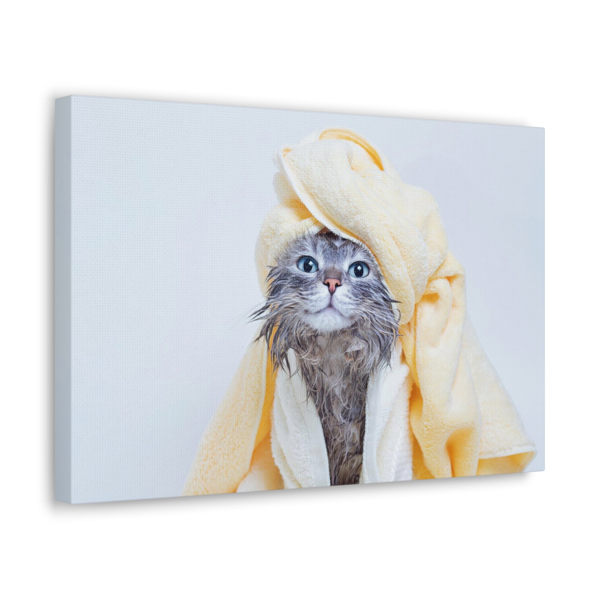 Funny Tabby Cat Bathee Canvas Wall Art for Home Decor Ready-to-Hang-Express Your Love Gifts