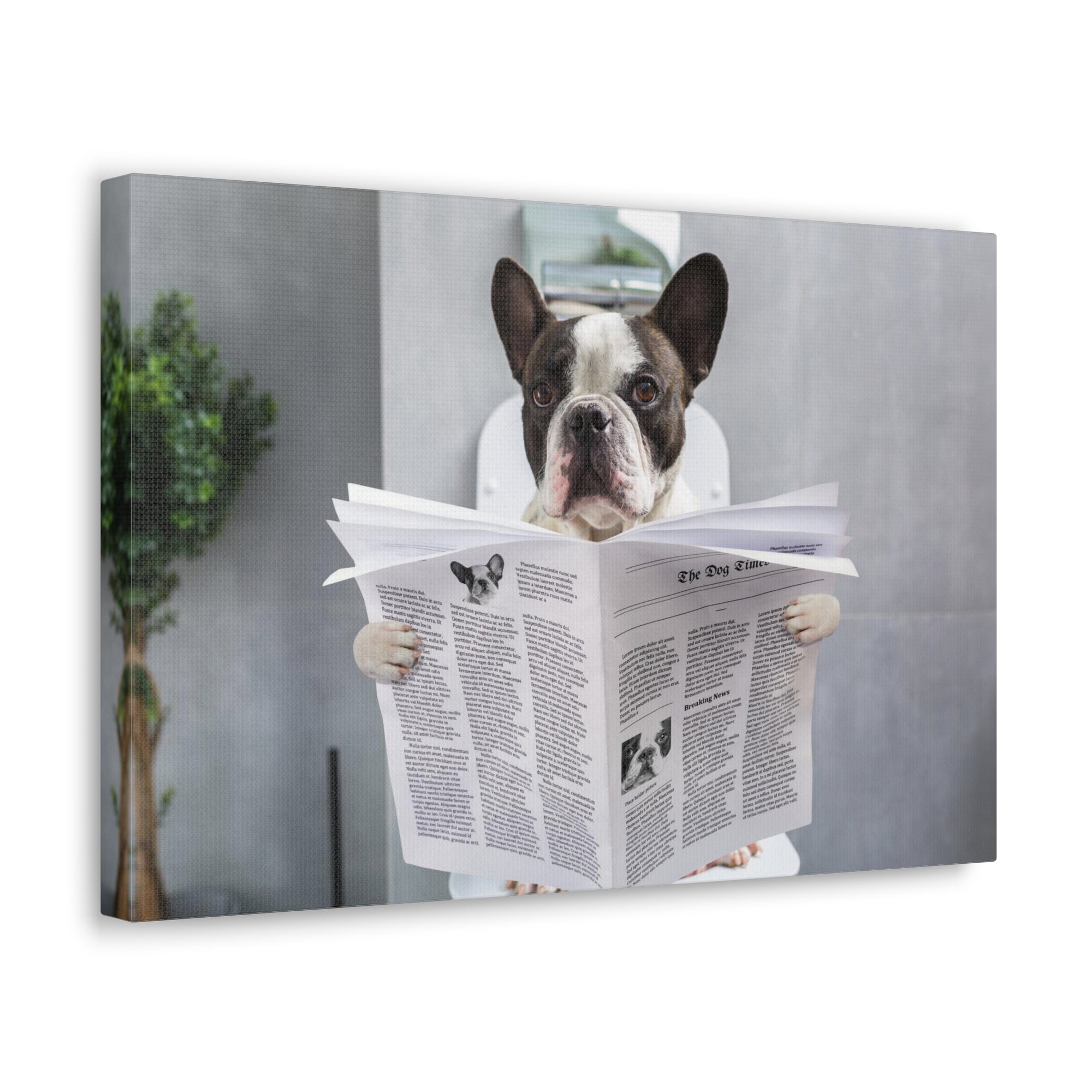 French bulldog Reading Newspaper On Toilet Funny Canvas Wall Art for Home Decor Ready-to-Hand-Express Your Love Gifts