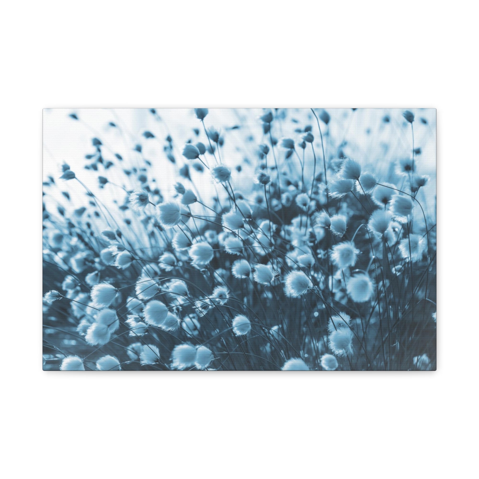 Blooming Cotton Grass In Swamp Misty Morning Canvas Wall Art for Home Decor Ready-to-Hang-Express Your Love Gifts