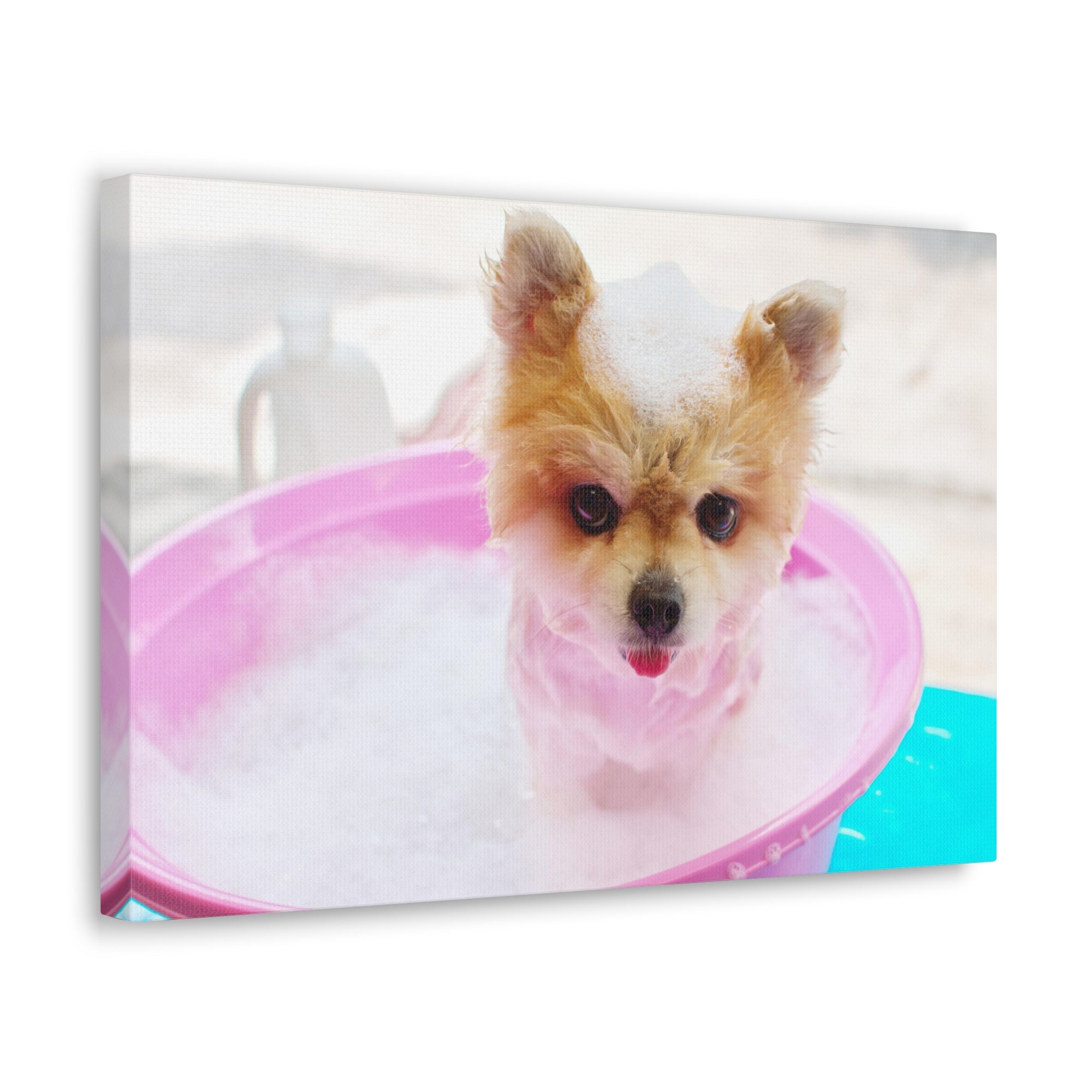 Funny Pomeranian Bath Canvas Wall Art for Home Decor Ready-to-Hang-Express Your Love Gifts