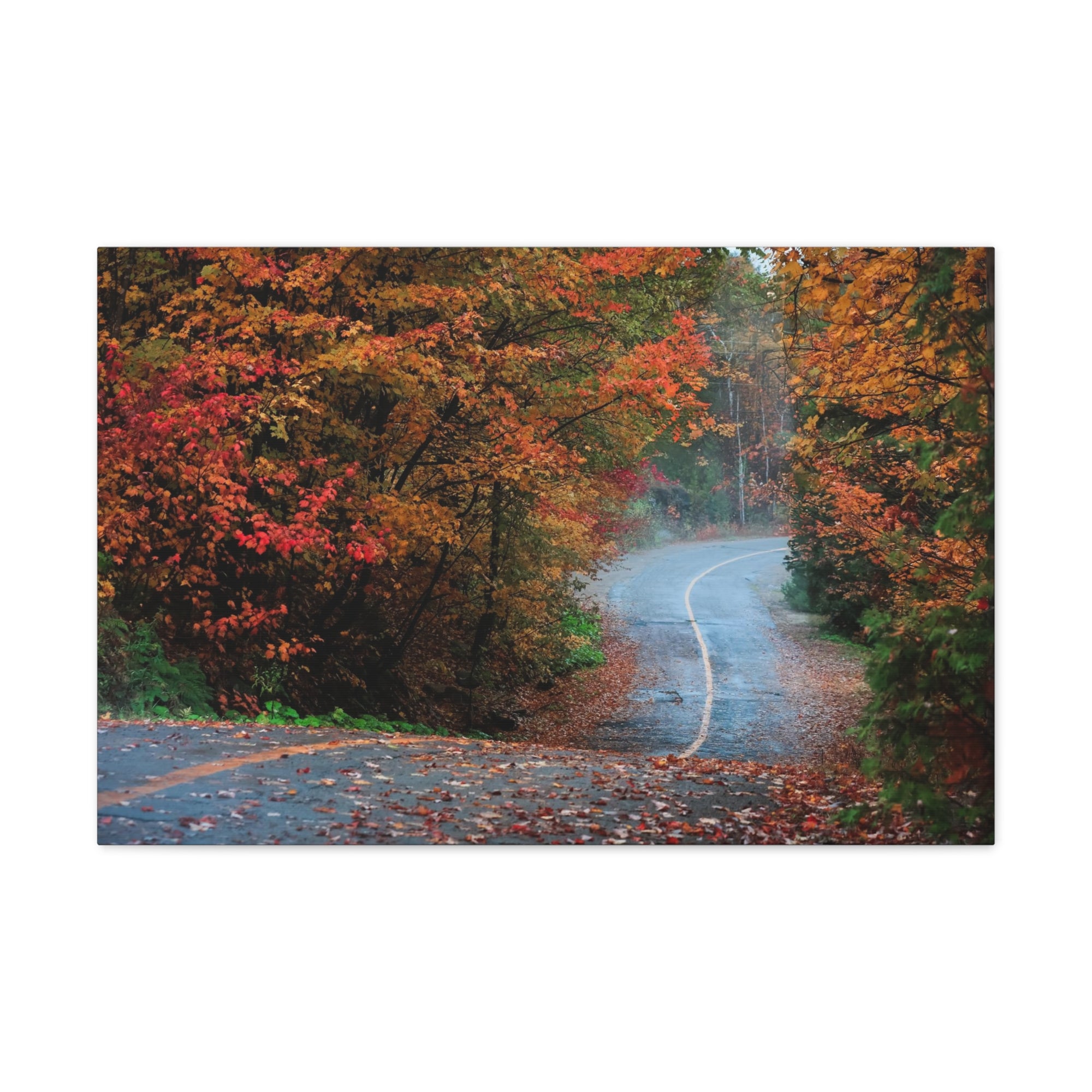 Autumn Forest Misty Path Nature Wilderness Photography Canvas Wall Art for Home Decor Ready-to-Hang-Express Your Love Gifts