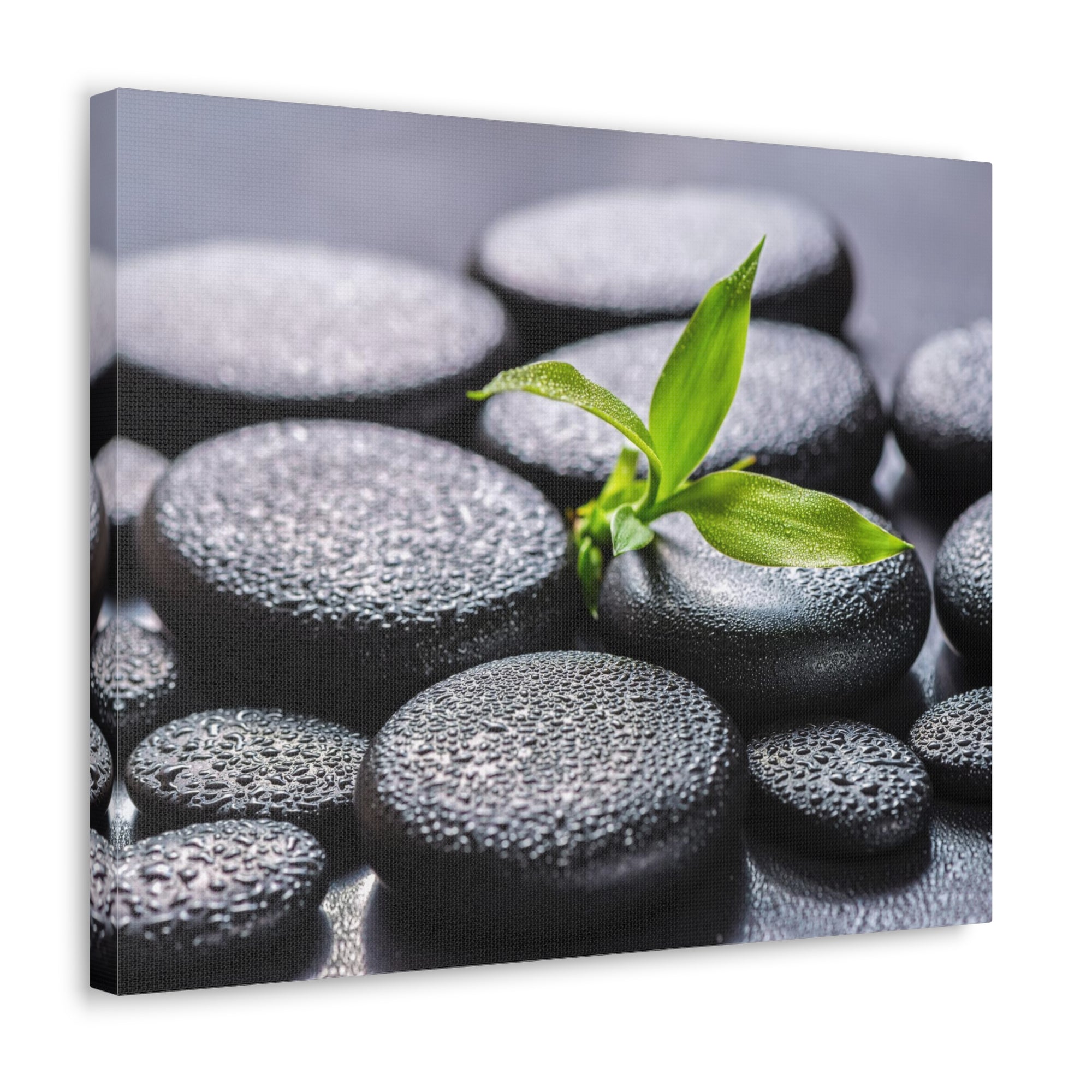 Bamboo on Zen Stones Forest Floral Nature Photography Canvas Wall Art for Home Decor Ready-to-Hang-Express Your Love Gifts