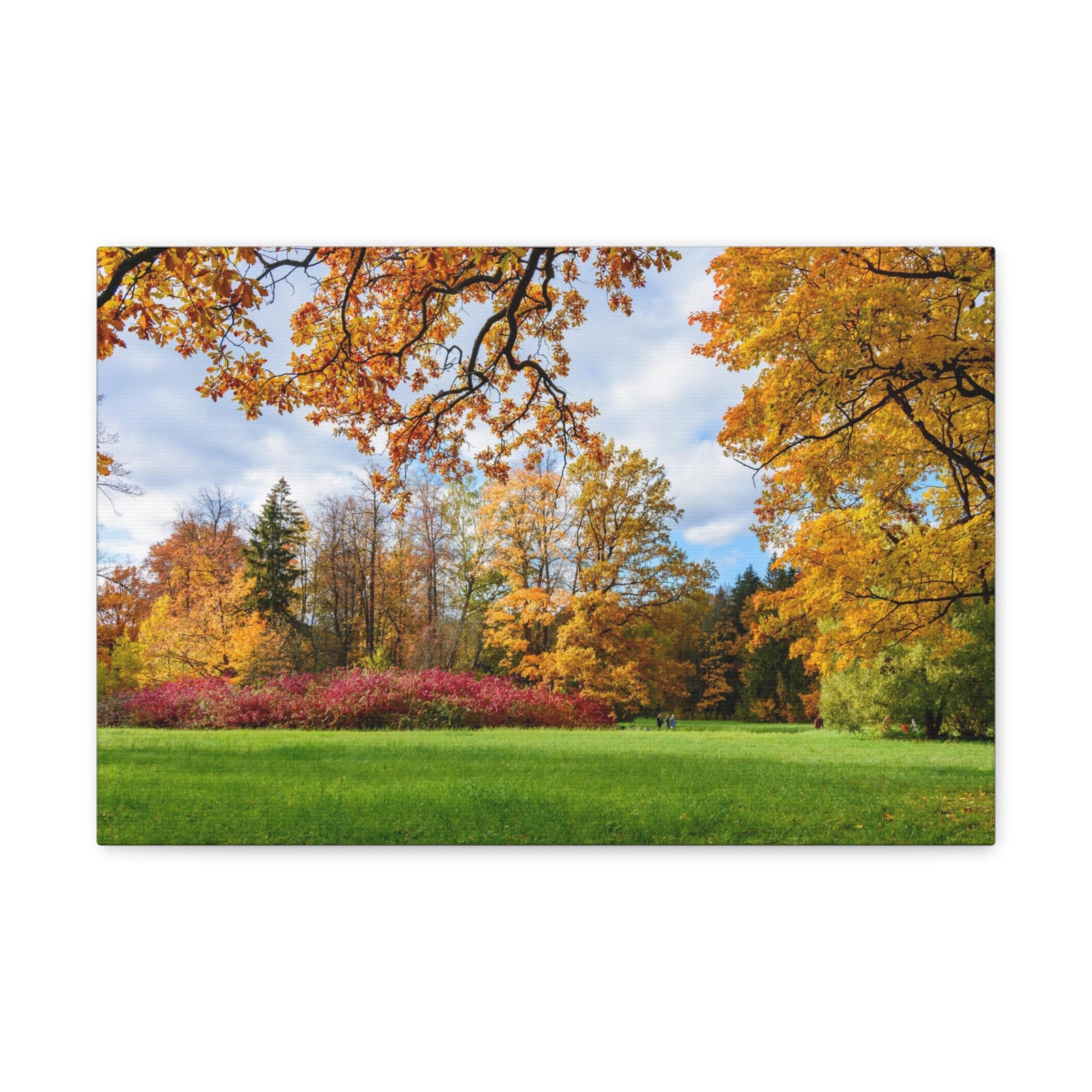 Autumn Park Tree Orange Nature Wilderness Photography Canvas Wall Art for Home Decor Ready-to-Hang-Express Your Love Gifts