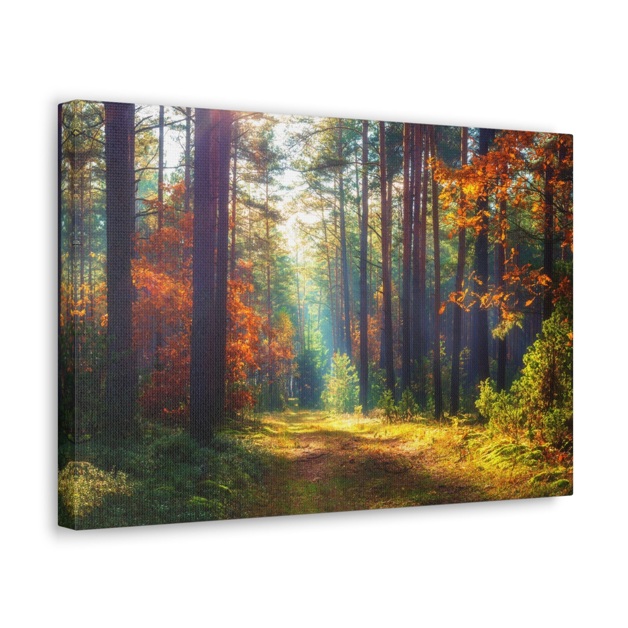 Autumn Fall Leaf Forest Nature Wilderness Photography Canvas Wall Art for Home Decor Ready-to-Hang-Express Your Love Gifts