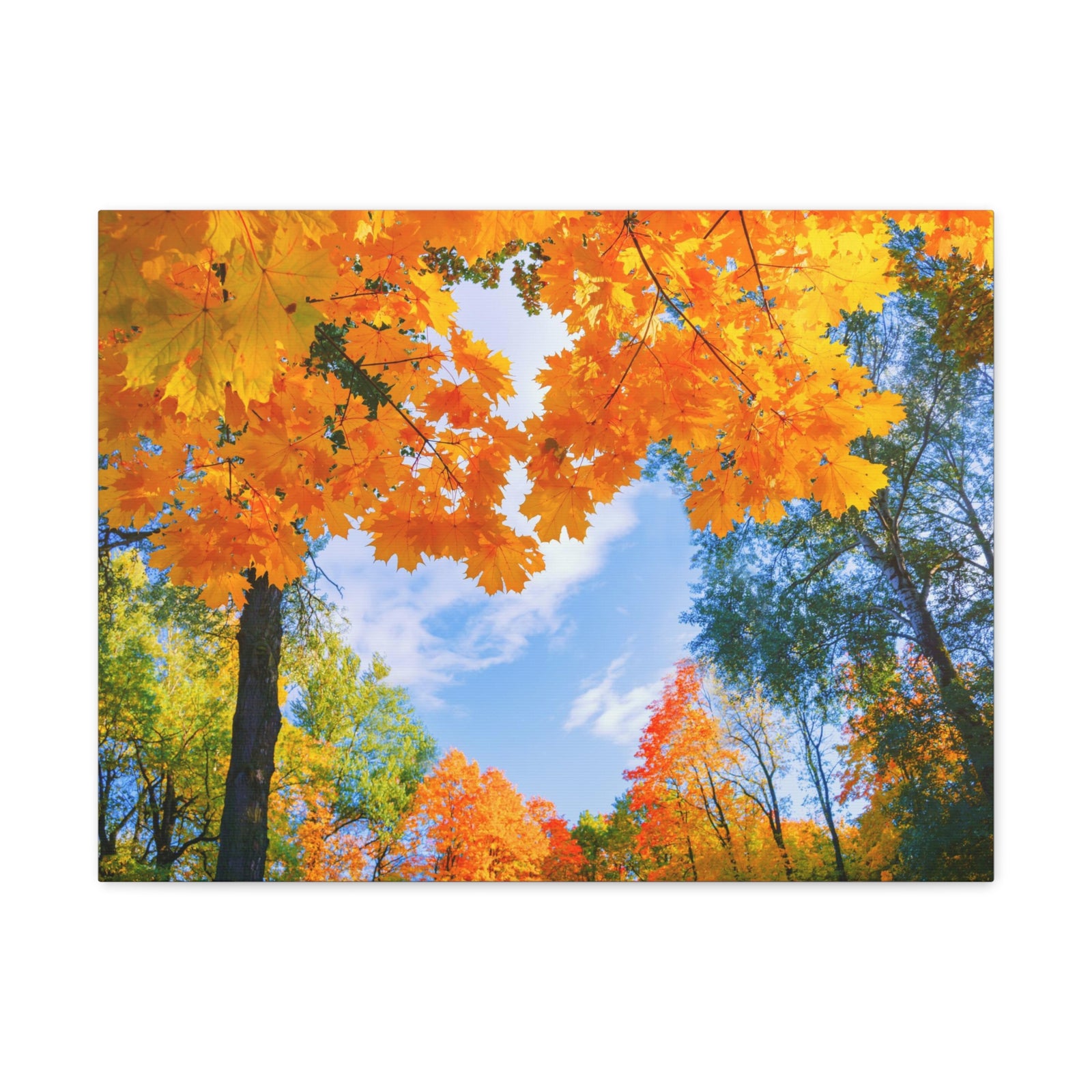 Autumn Tree With Orange Leaves Heart Nature Wilderness Photography Canvas Wall Art for Home Decor Ready-to-Hang-Express Your Love Gifts