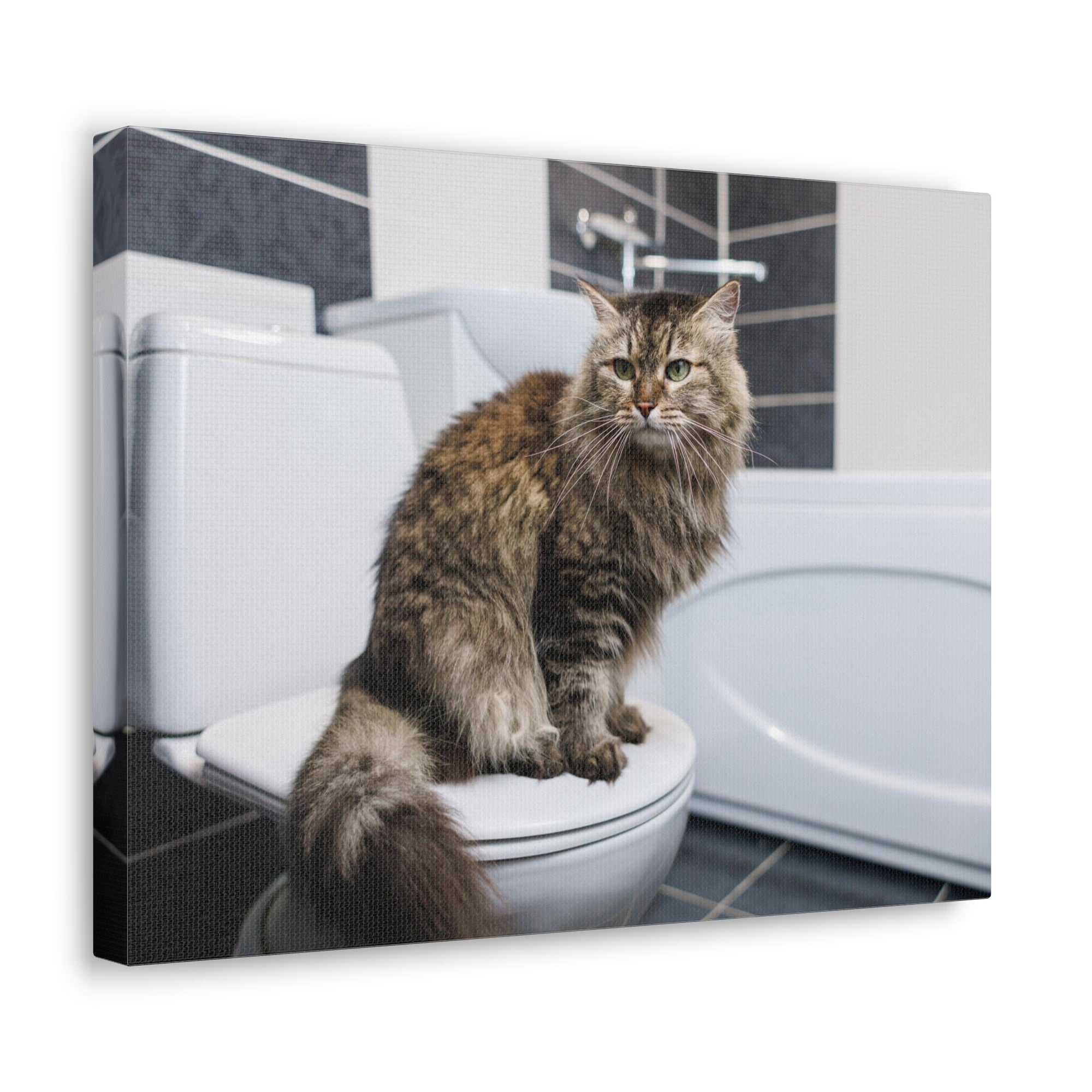 Cute Cat Sitting On Toilet Funny Canvas Wall Art for Home Decor Ready-to-Hand-Express Your Love Gifts