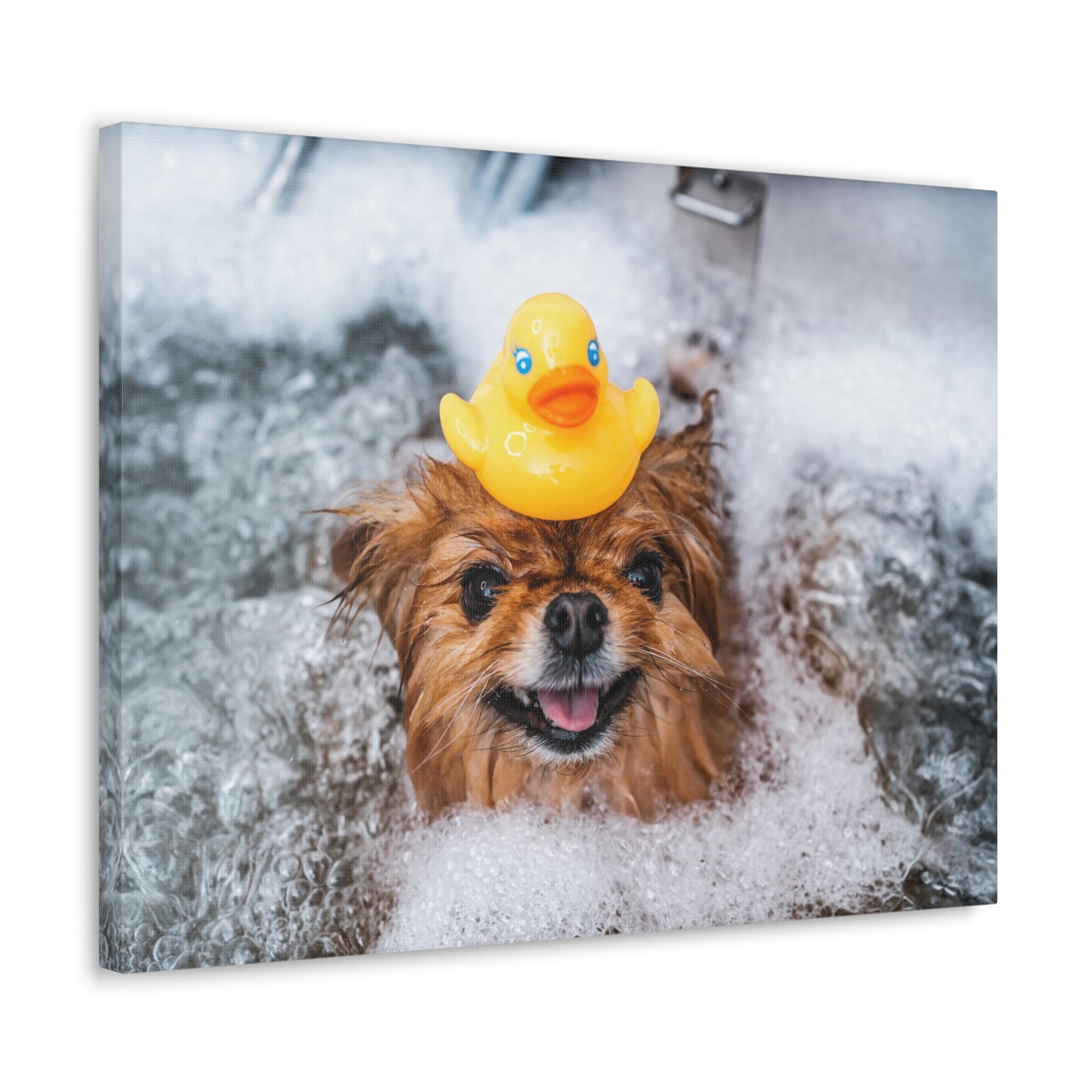 Funny Spitz Bathee Canvas Wall Art for Home Decor Ready-to-Hang-Express Your Love Gifts