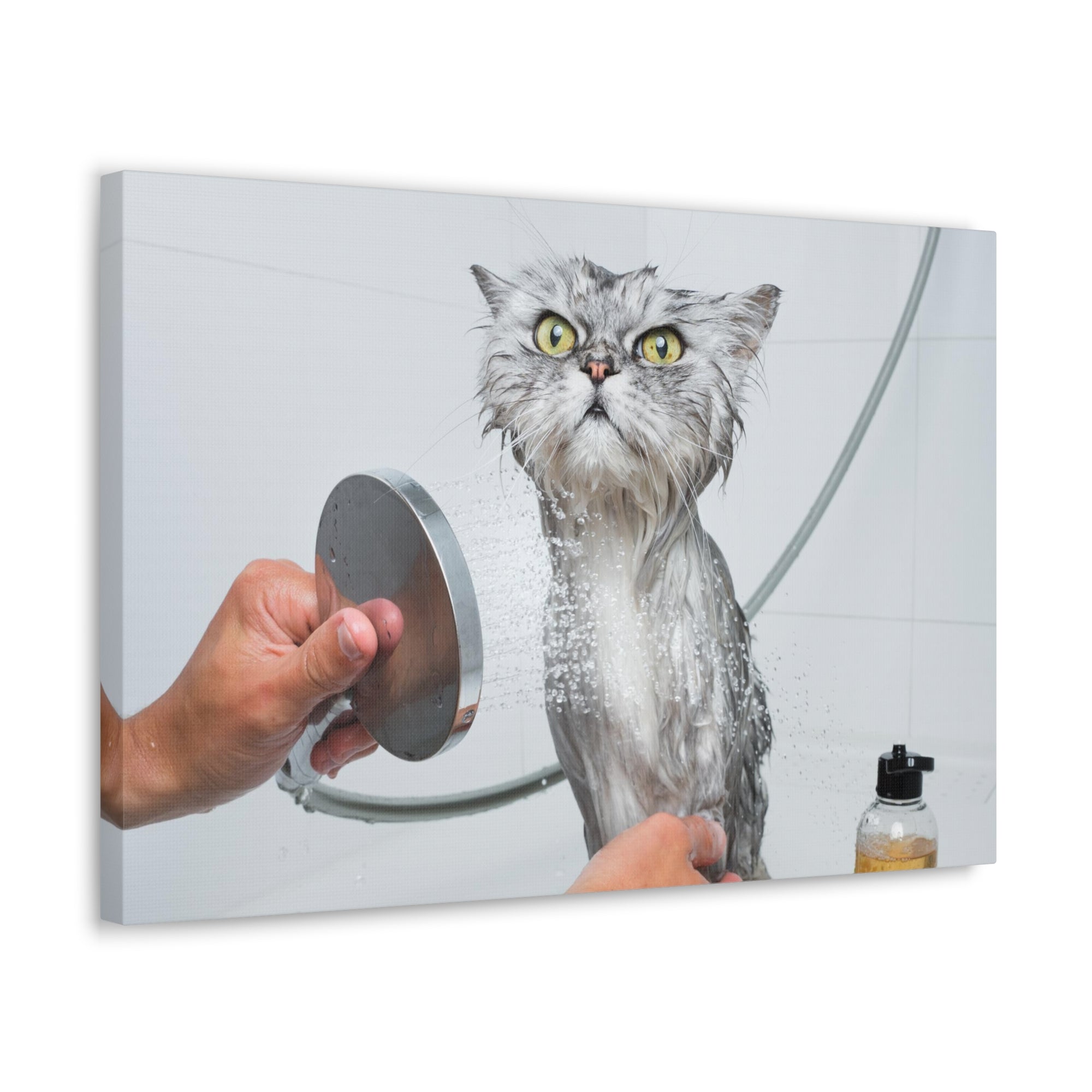 Funny Wet Cat Bath Canvas Wall Art for Home Decor Ready-to-Hang-Express Your Love Gifts