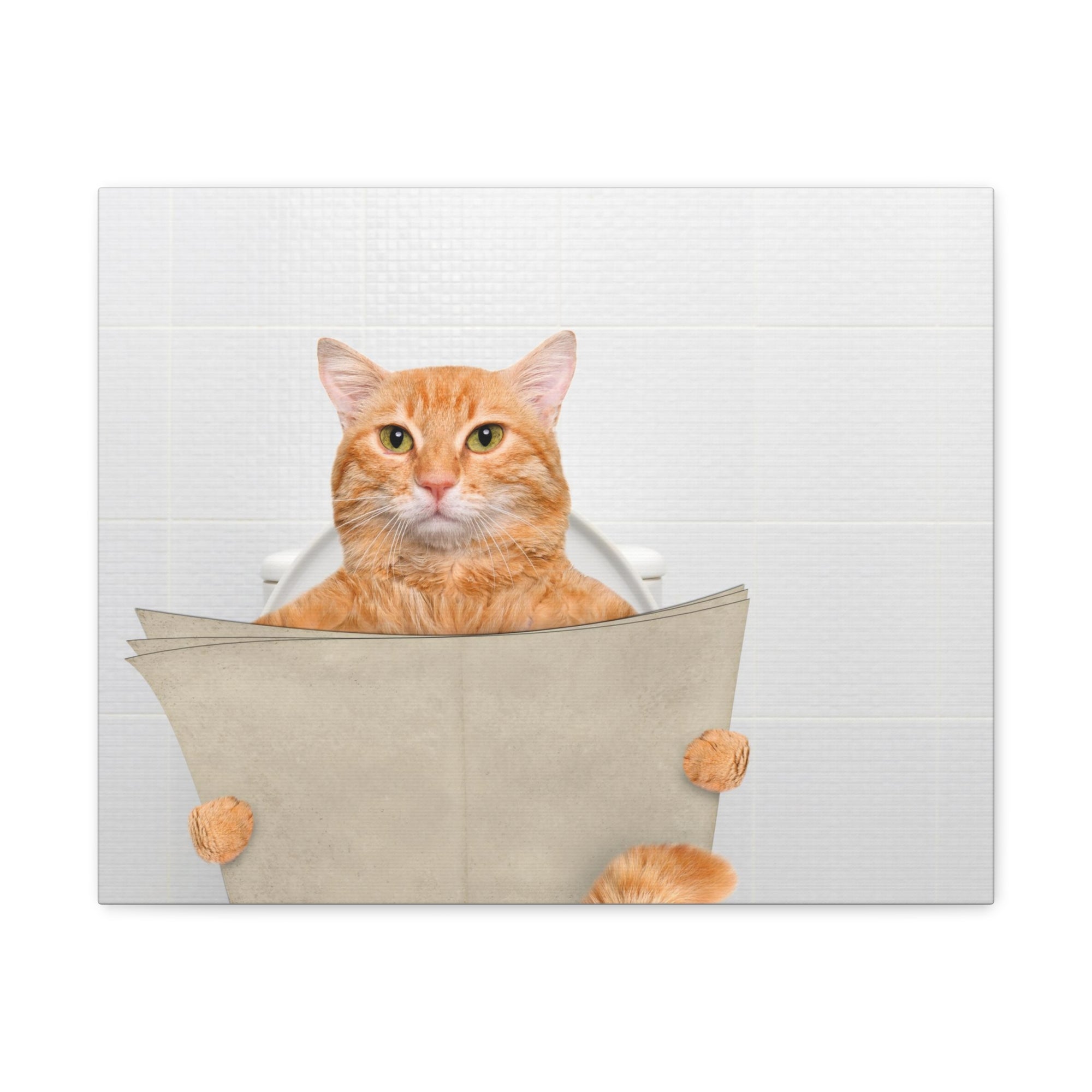 Funny Cat Reading Newspaper On Toilet Funny Canvas Wall Art for Home Decor Ready-to-Hand-Express Your Love Gifts