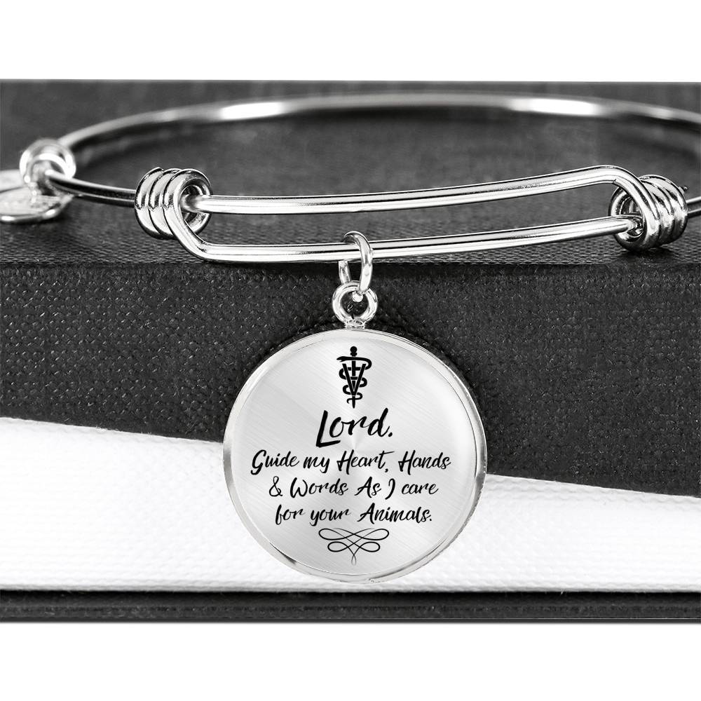 Veterinarians Prayer Caduceus Stainless Steel or 18k Gold Circle Bangle Bracelet - Express Your Love Gifts