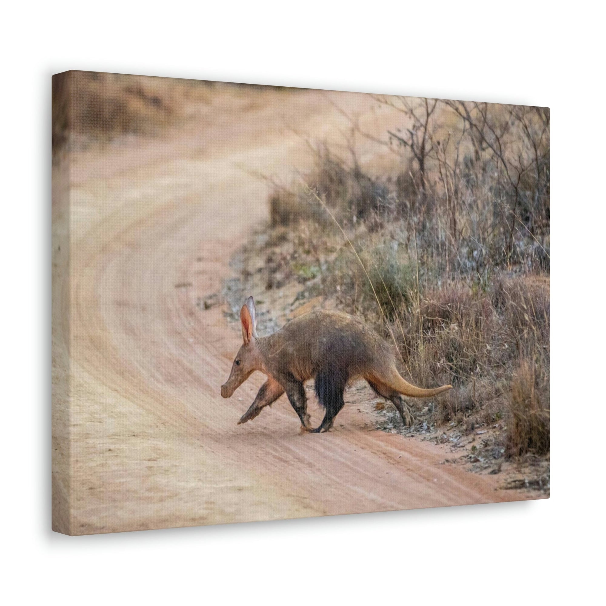 Scripture Walls Aardvark Hunting Aardvark on Hunt Print Animal Wall Art Wildlife Canvas Prints Wall Art Ready to Hang Unframed-Express Your Love Gifts