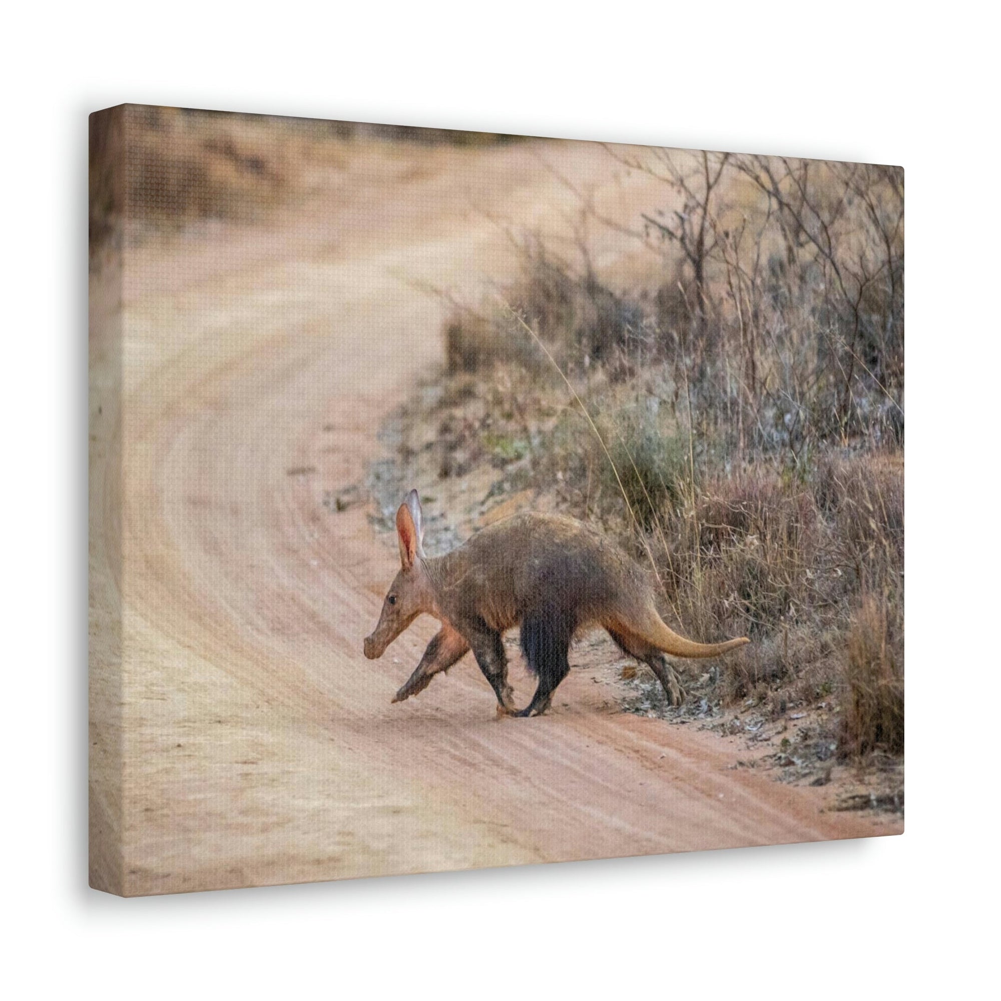 Scripture Walls Aardvark Hunting Aardvark on Hunt Print Animal Wall Art Wildlife Canvas Prints Wall Art Ready to Hang Unframed-Express Your Love Gifts