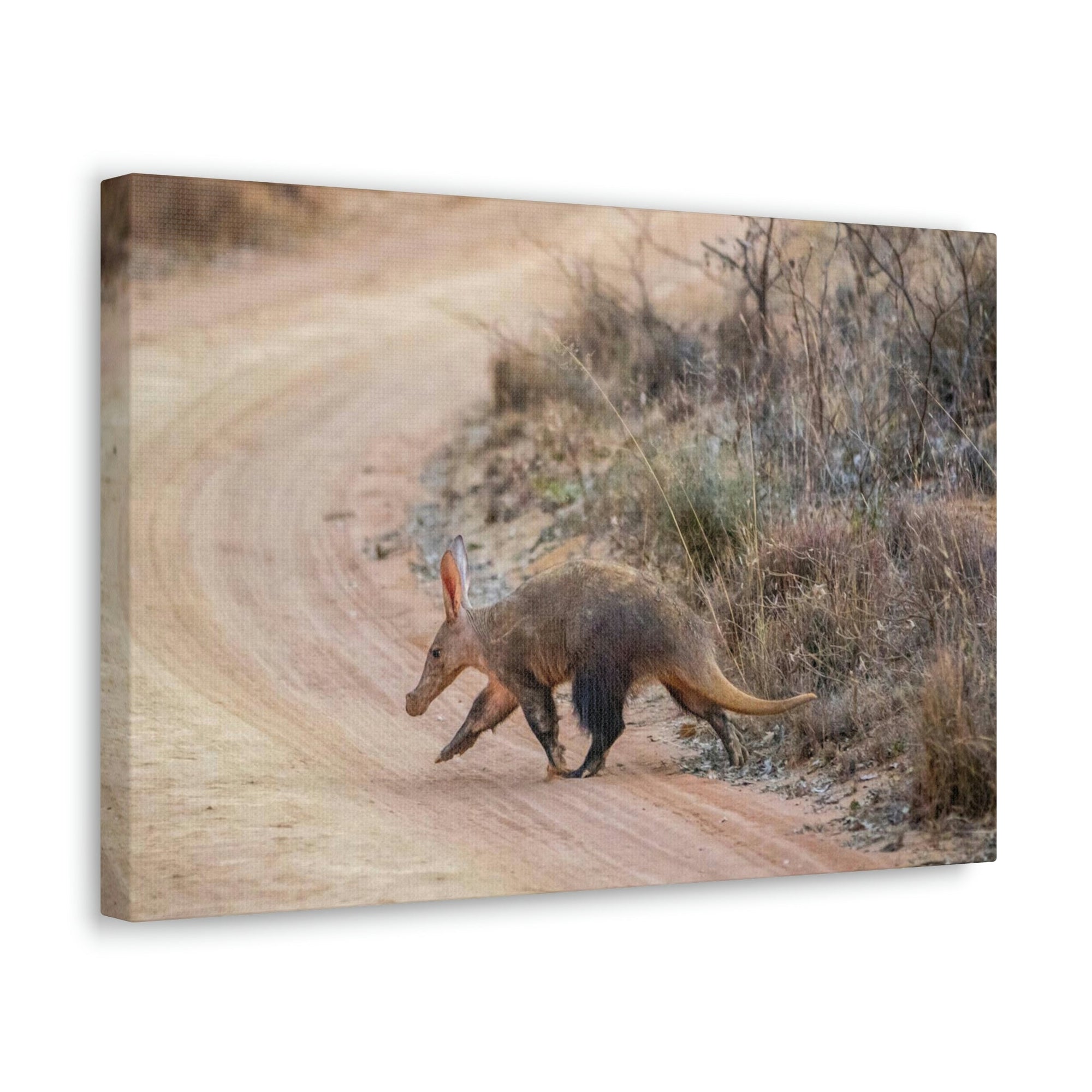 Scripture Walls Aardvark Hunting Aardvark on Hunt Print Animal Wall Art Wildlife Canvas Prints Wall Art Ready to Hang Unframed-Express Your Love Gifts