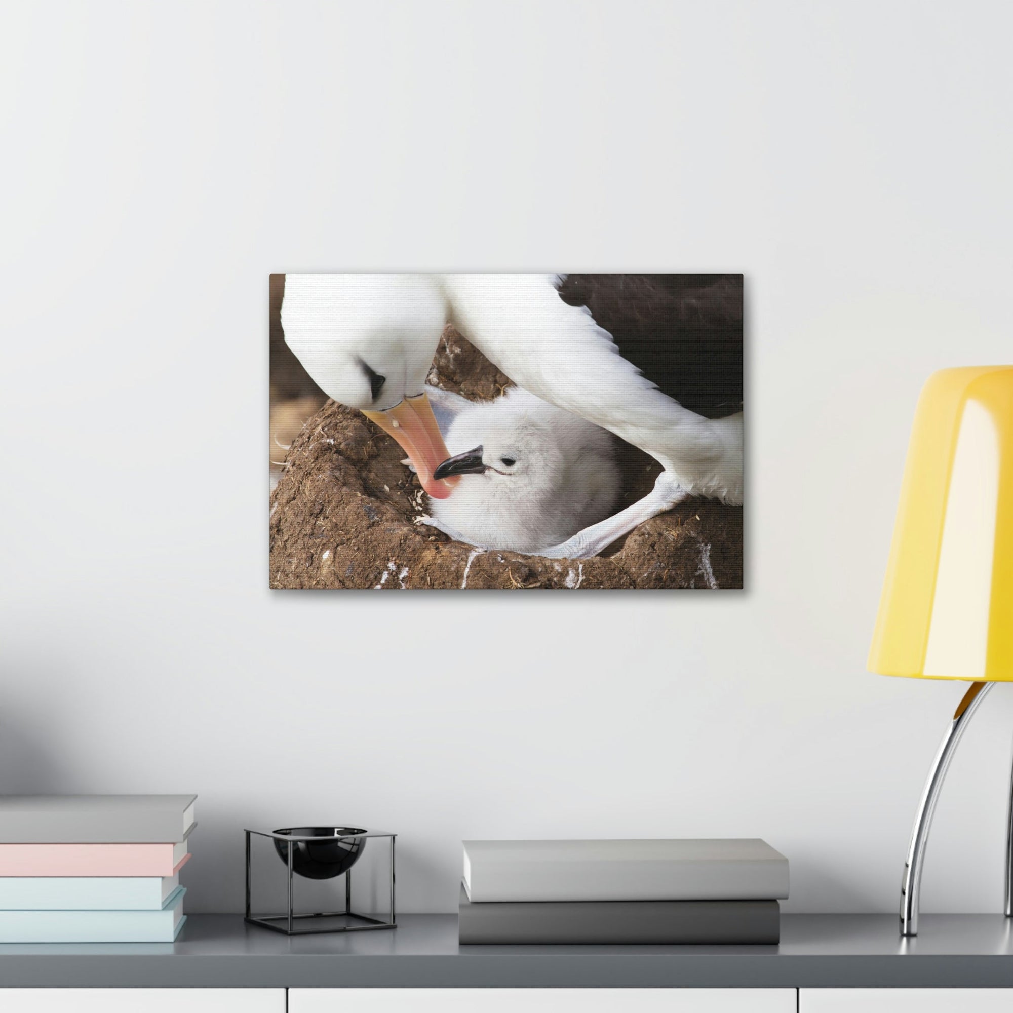 Scripture Walls Adult and Baby Albatross Print Animal Wall Art Wildlife Canvas Prints Wall Art Ready to Hang Unframed-Express Your Love Gifts