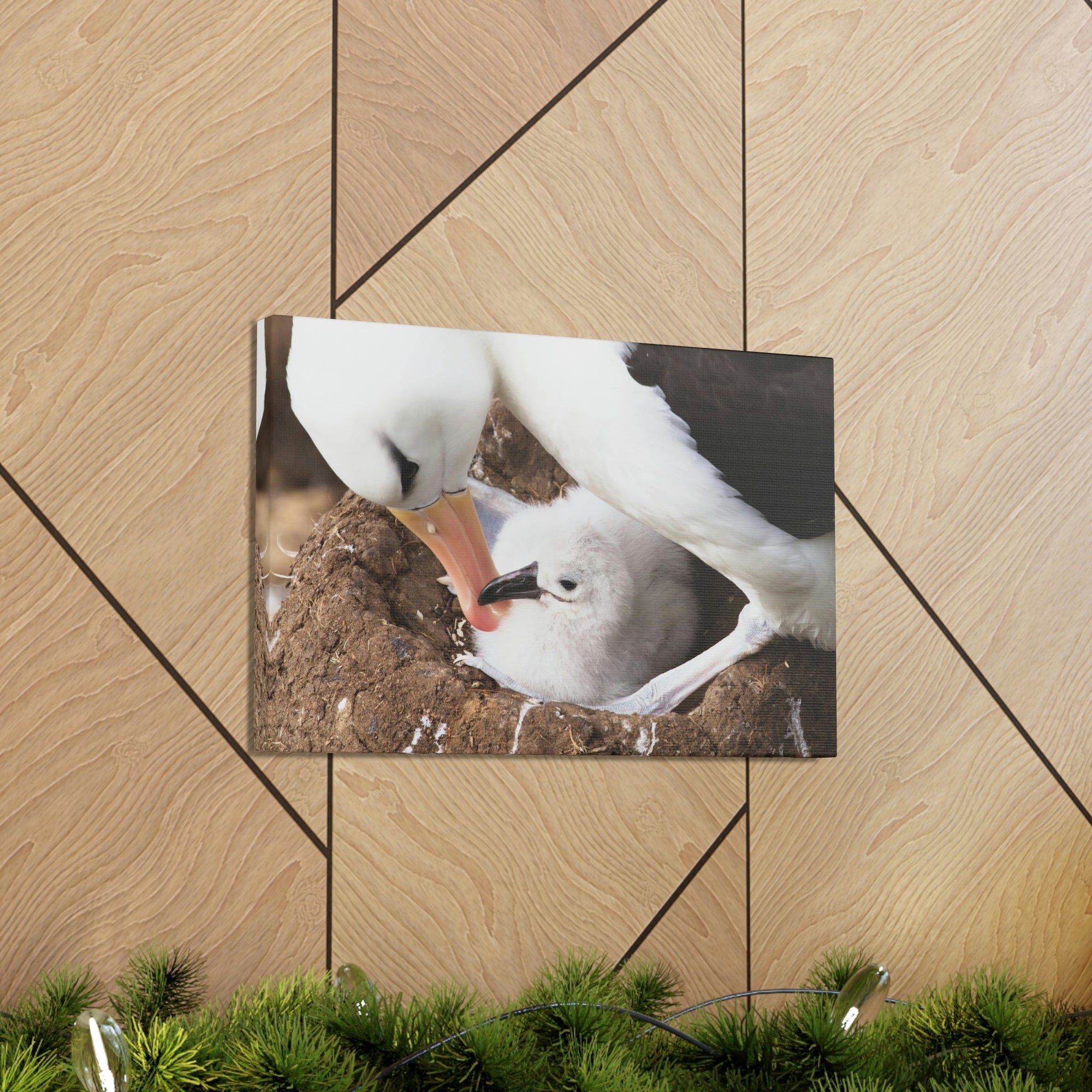 Scripture Walls Adult and Baby Albatross Print Animal Wall Art Wildlife Canvas Prints Wall Art Ready to Hang Unframed-Express Your Love Gifts