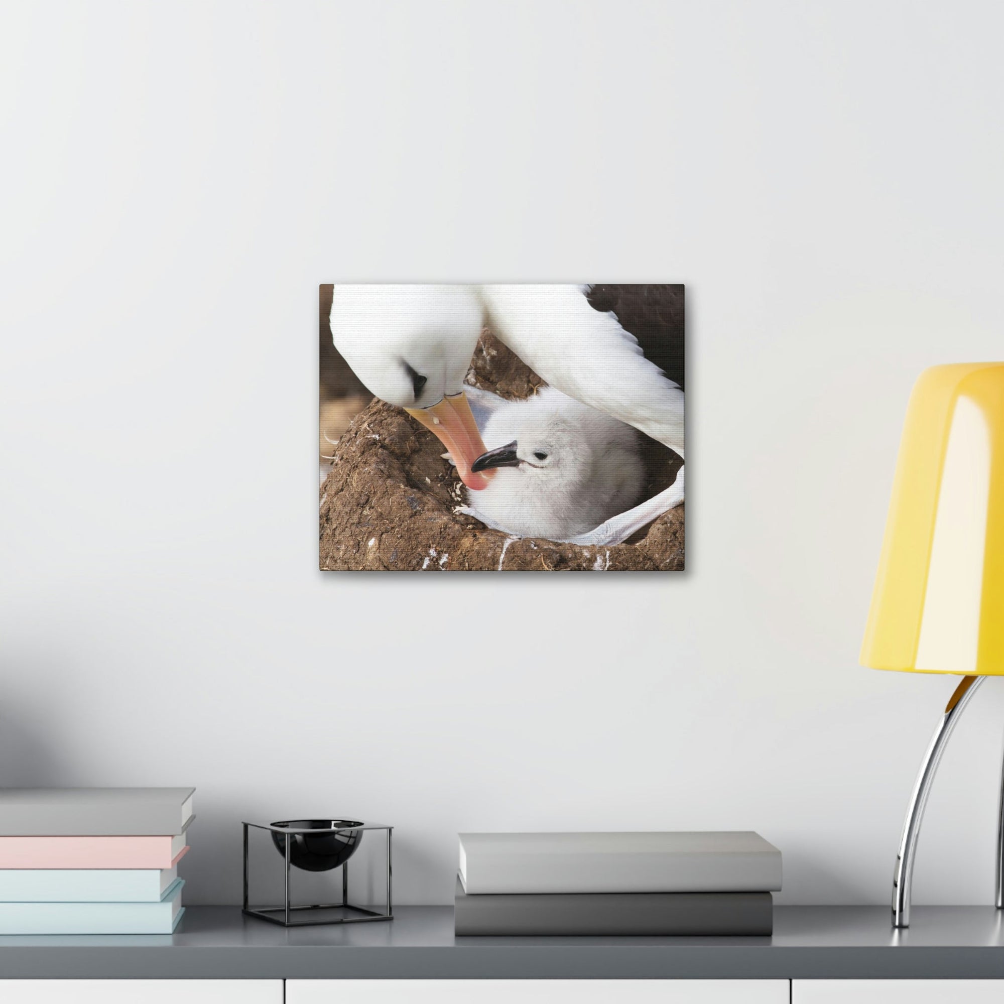 Scripture Walls Adult and Baby Albatross Print Animal Wall Art Wildlife Canvas Prints Wall Art Ready to Hang Unframed-Express Your Love Gifts