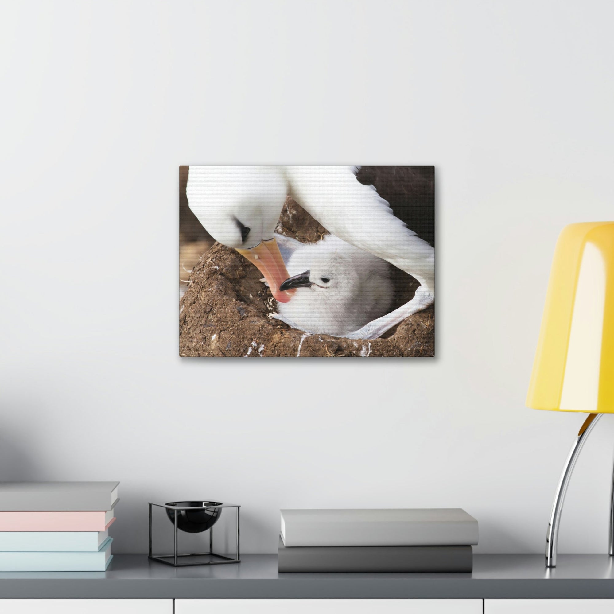 Scripture Walls Adult and Baby Albatross Print Animal Wall Art Wildlife Canvas Prints Wall Art Ready to Hang Unframed-Express Your Love Gifts