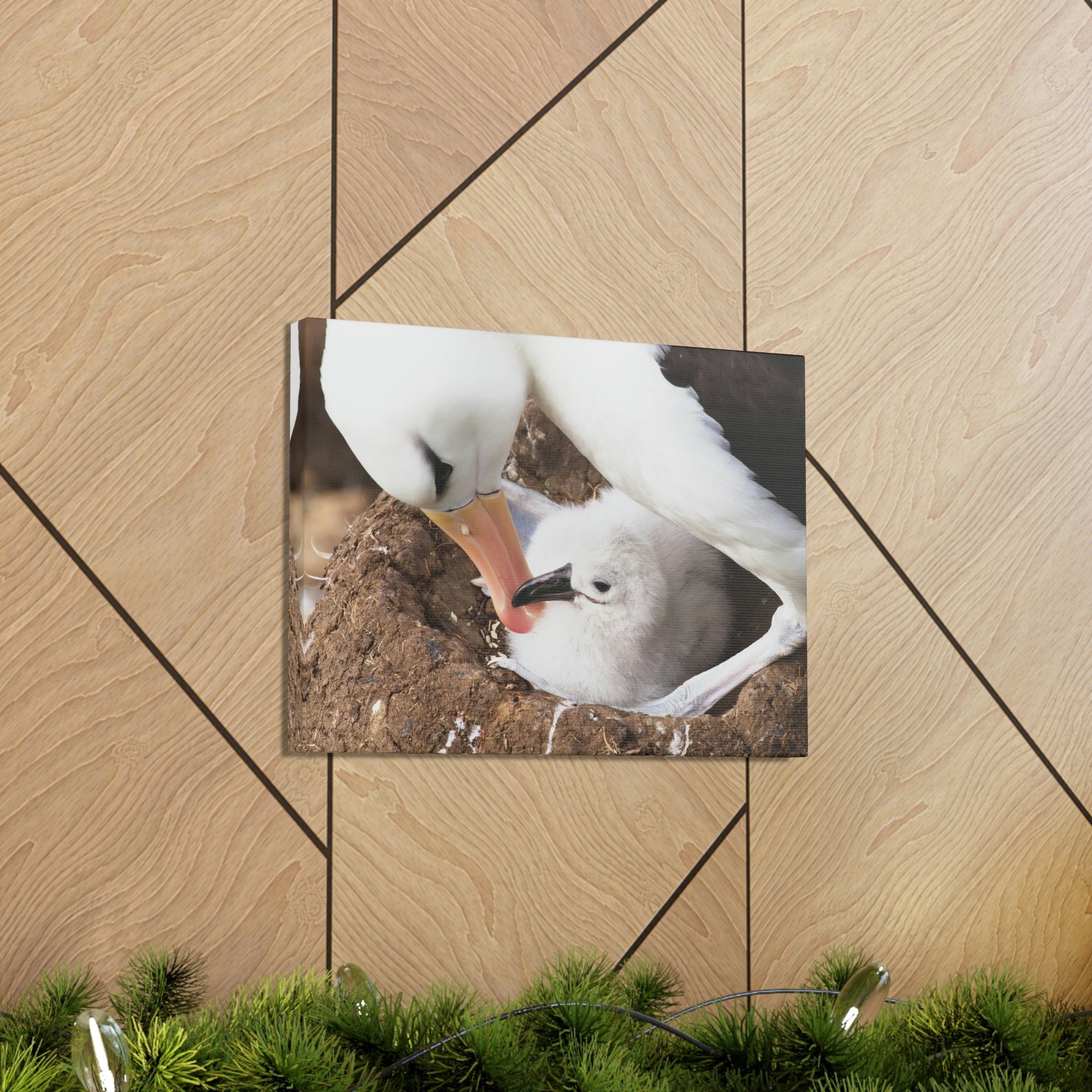 Scripture Walls Adult and Baby Albatross Print Animal Wall Art Wildlife Canvas Prints Wall Art Ready to Hang Unframed-Express Your Love Gifts