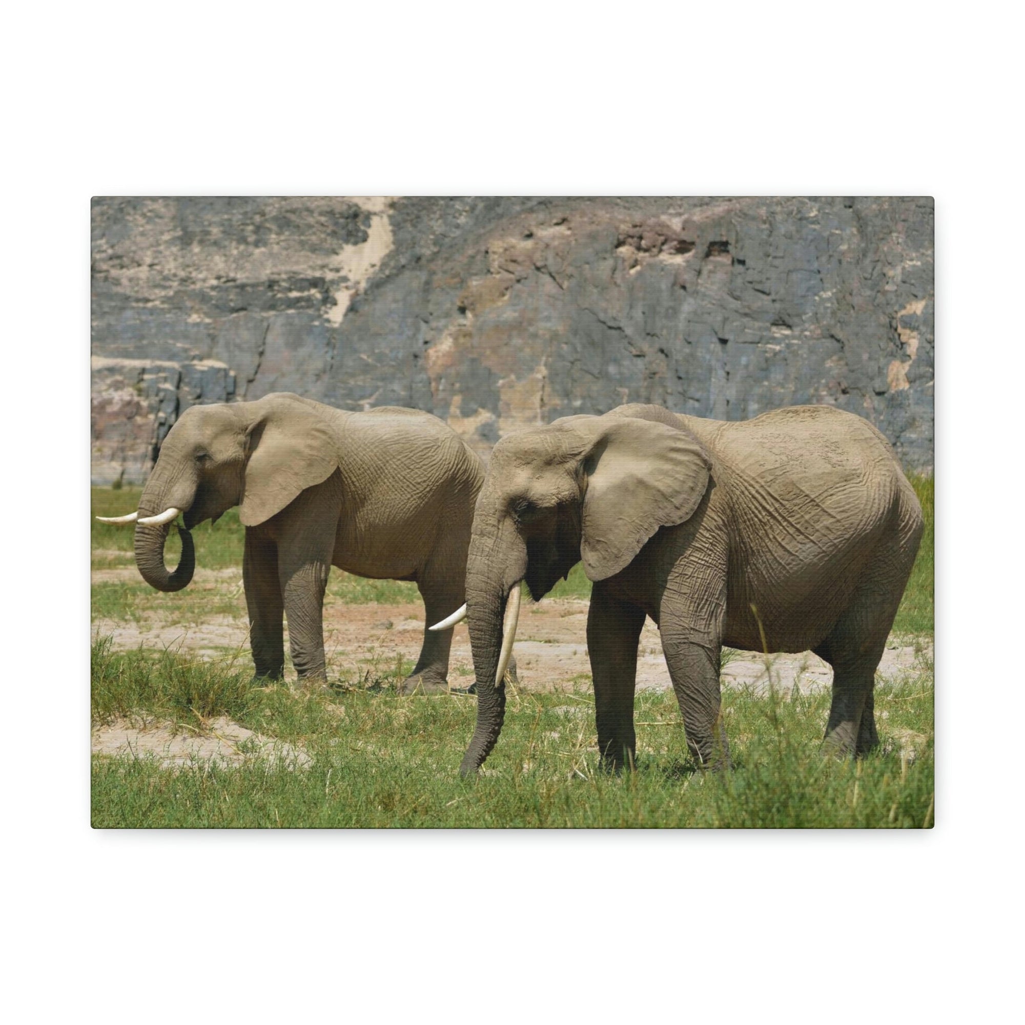 Scripture Walls African Elephant Couple African Elephant Troop Print Animal Wall Art Wildlife Canvas Prints Wall Art Ready to Hang Unframed-Express Your Love Gifts