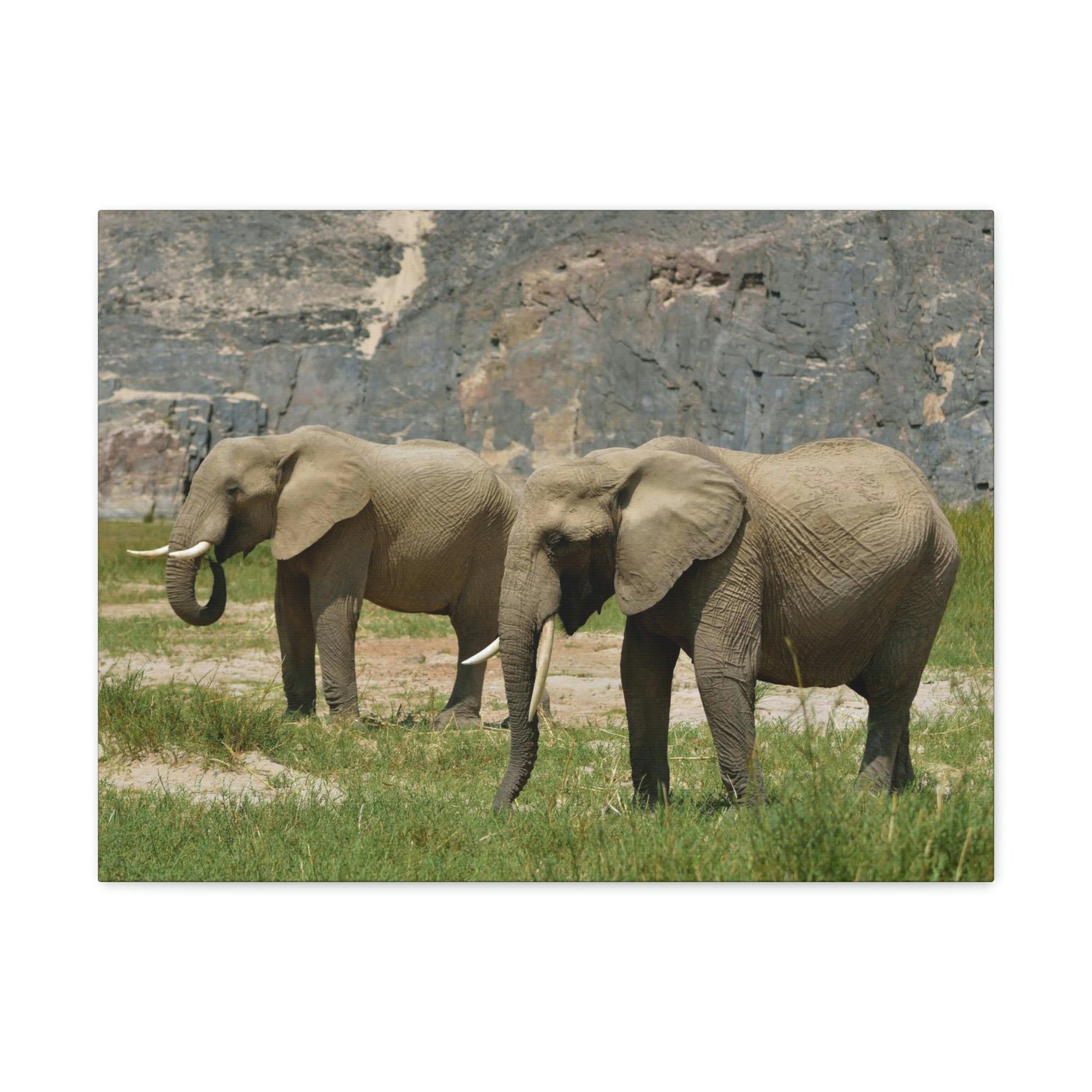 Scripture Walls African Elephant Couple African Elephant Troop Print Animal Wall Art Wildlife Canvas Prints Wall Art Ready to Hang Unframed-Express Your Love Gifts