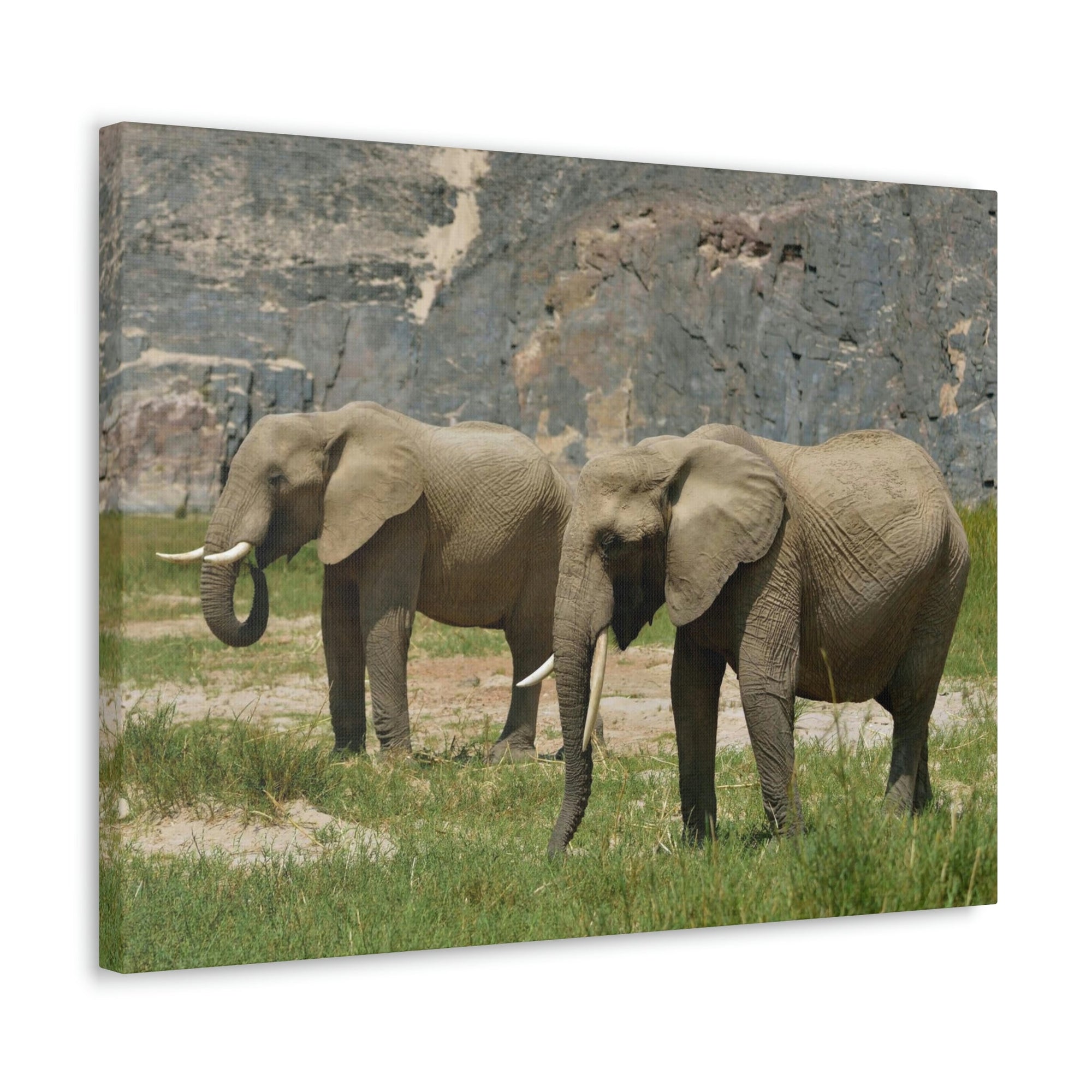 Scripture Walls African Elephant Couple African Elephant Troop Print Animal Wall Art Wildlife Canvas Prints Wall Art Ready to Hang Unframed-Express Your Love Gifts