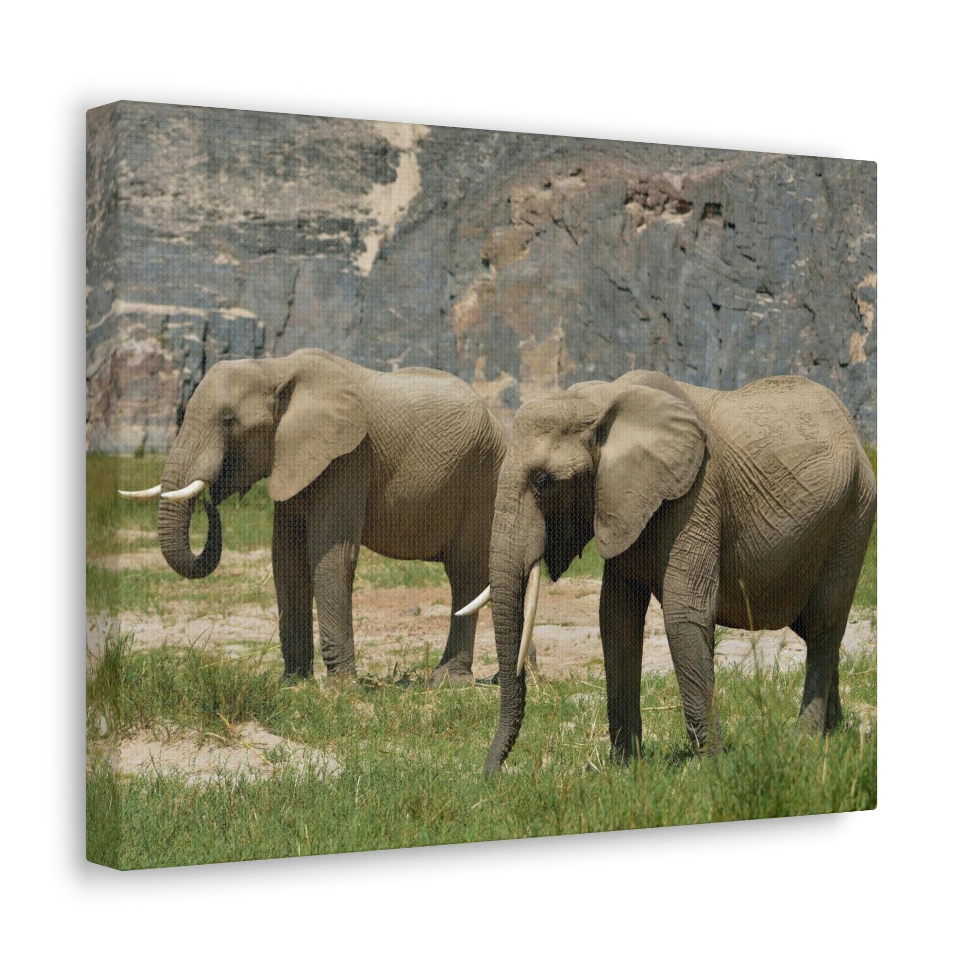 Scripture Walls African Elephant Couple African Elephant Troop Print Animal Wall Art Wildlife Canvas Prints Wall Art Ready to Hang Unframed-Express Your Love Gifts