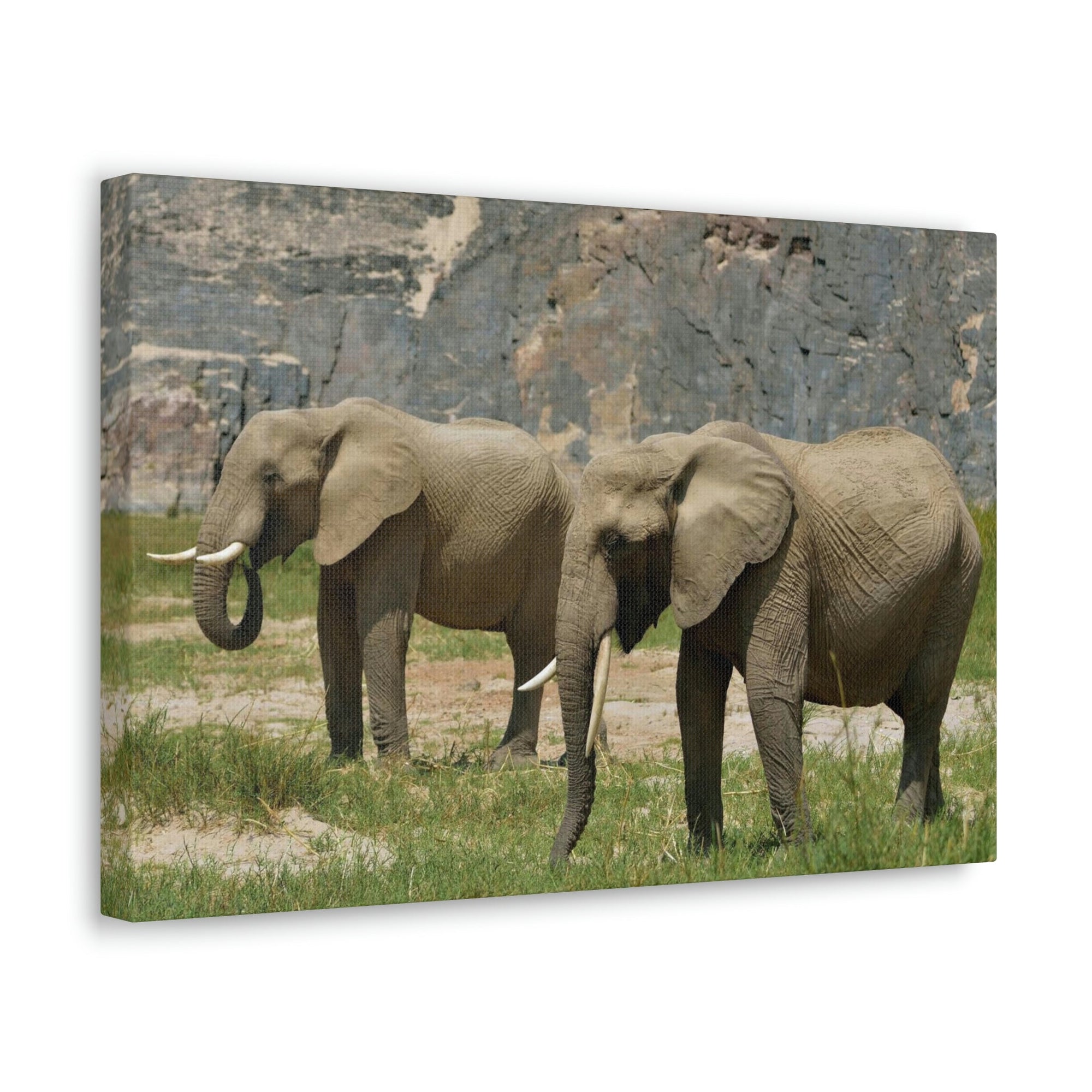 Scripture Walls African Elephant Couple African Elephant Troop Print Animal Wall Art Wildlife Canvas Prints Wall Art Ready to Hang Unframed-Express Your Love Gifts