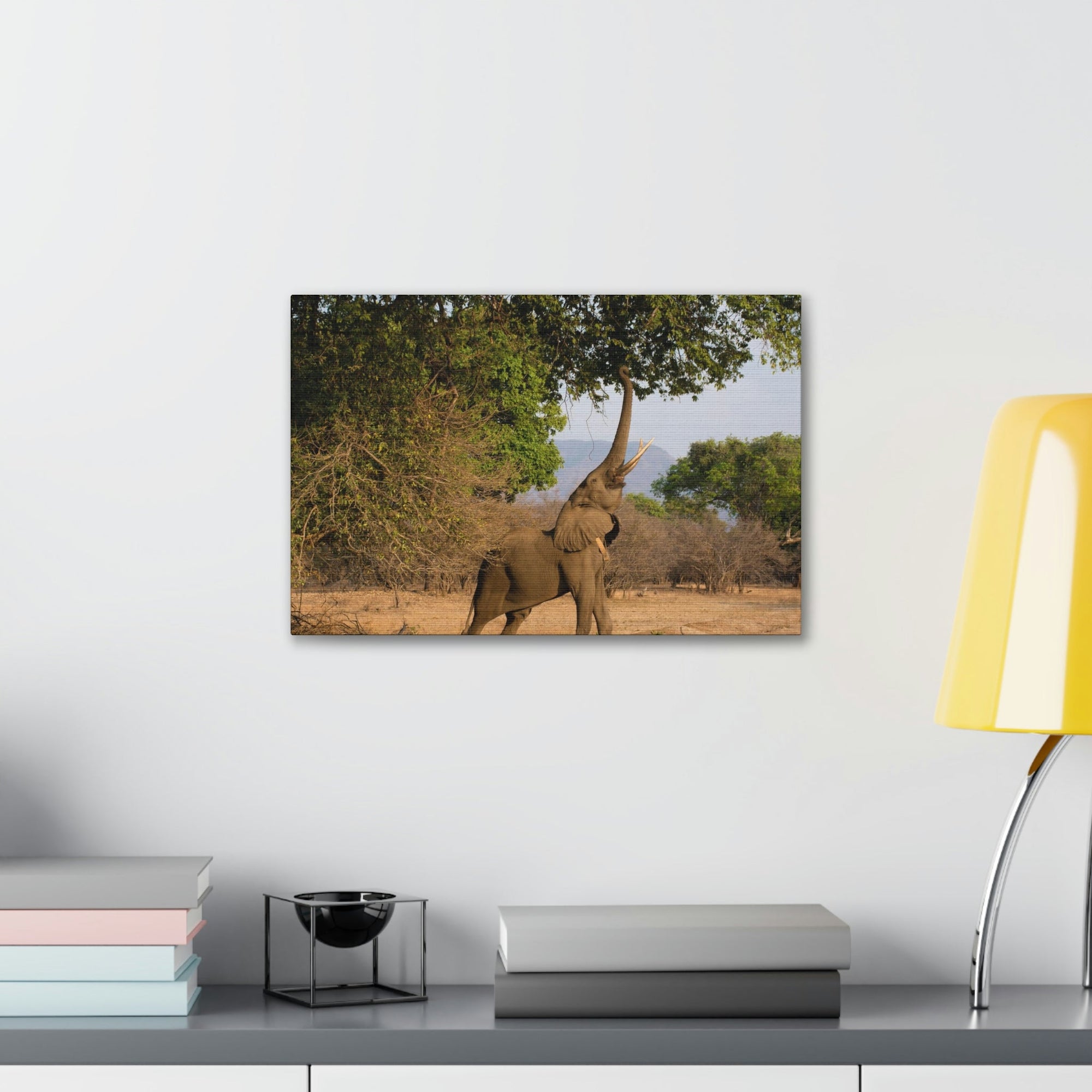 African Elephant Reaching Food Using Trunk Hungry African Elephant Outdoor Wall Art Ready to Hang Unframed-Express Your Love Gifts