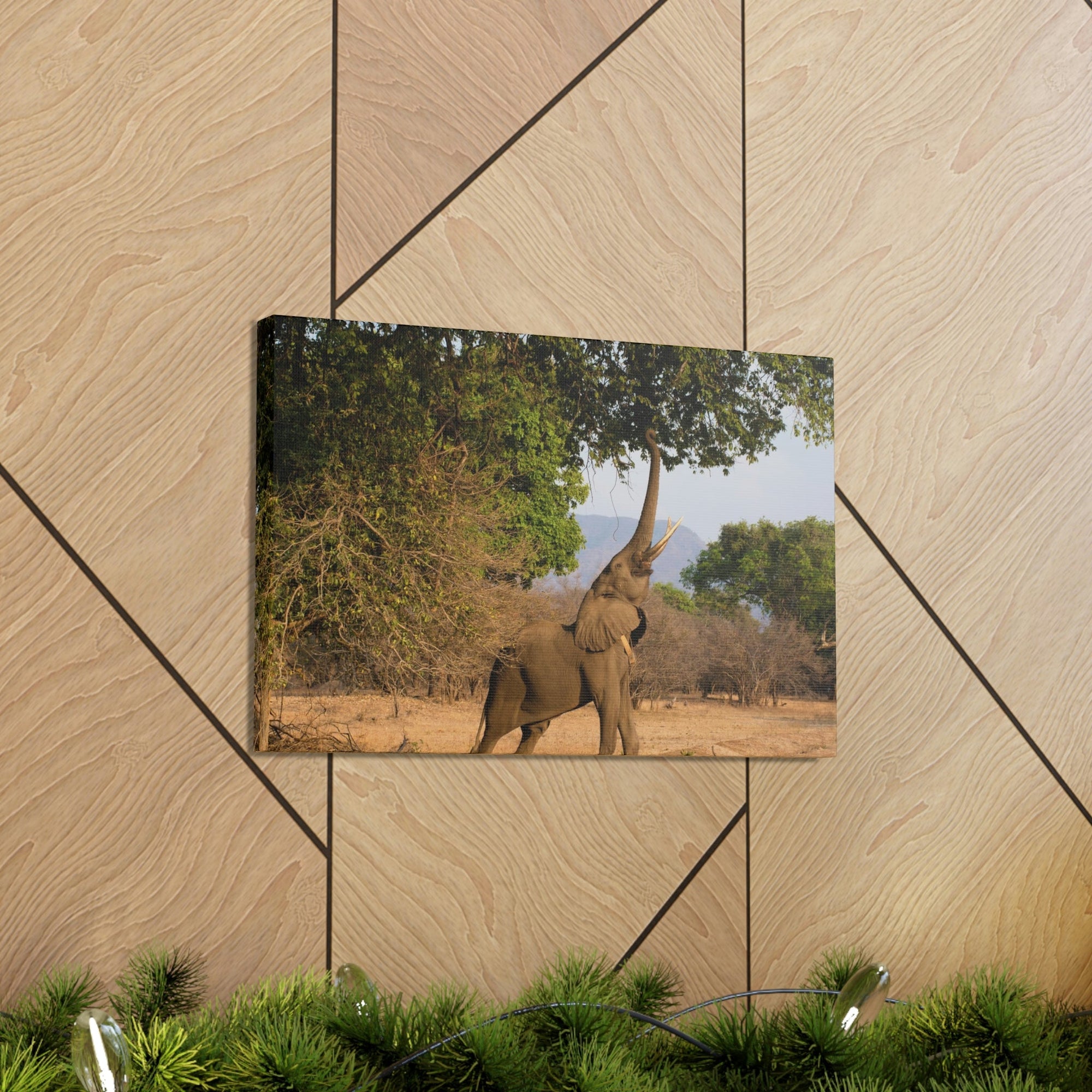 African Elephant Reaching Food Using Trunk Hungry African Elephant Outdoor Wall Art Ready to Hang Unframed-Express Your Love Gifts