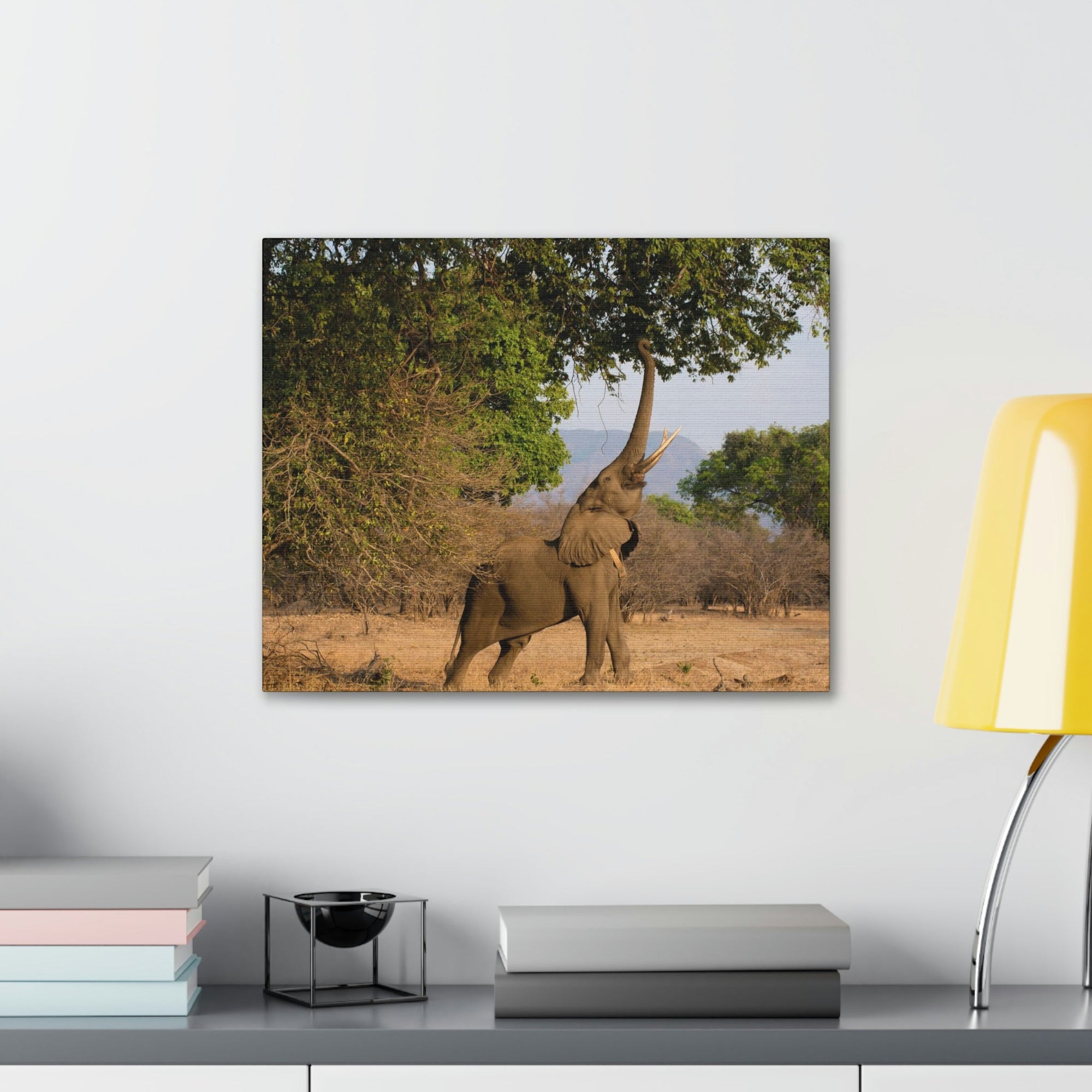 African Elephant Reaching Food Using Trunk Hungry African Elephant Outdoor Wall Art Ready to Hang Unframed-Express Your Love Gifts