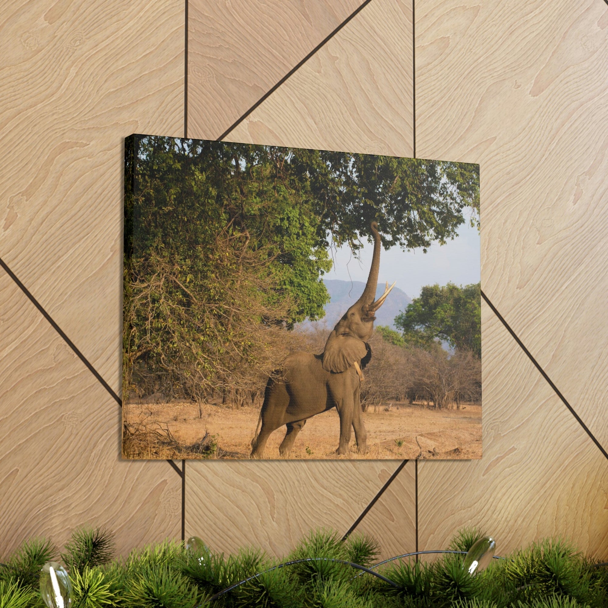 African Elephant Reaching Food Using Trunk Hungry African Elephant Outdoor Wall Art Ready to Hang Unframed-Express Your Love Gifts