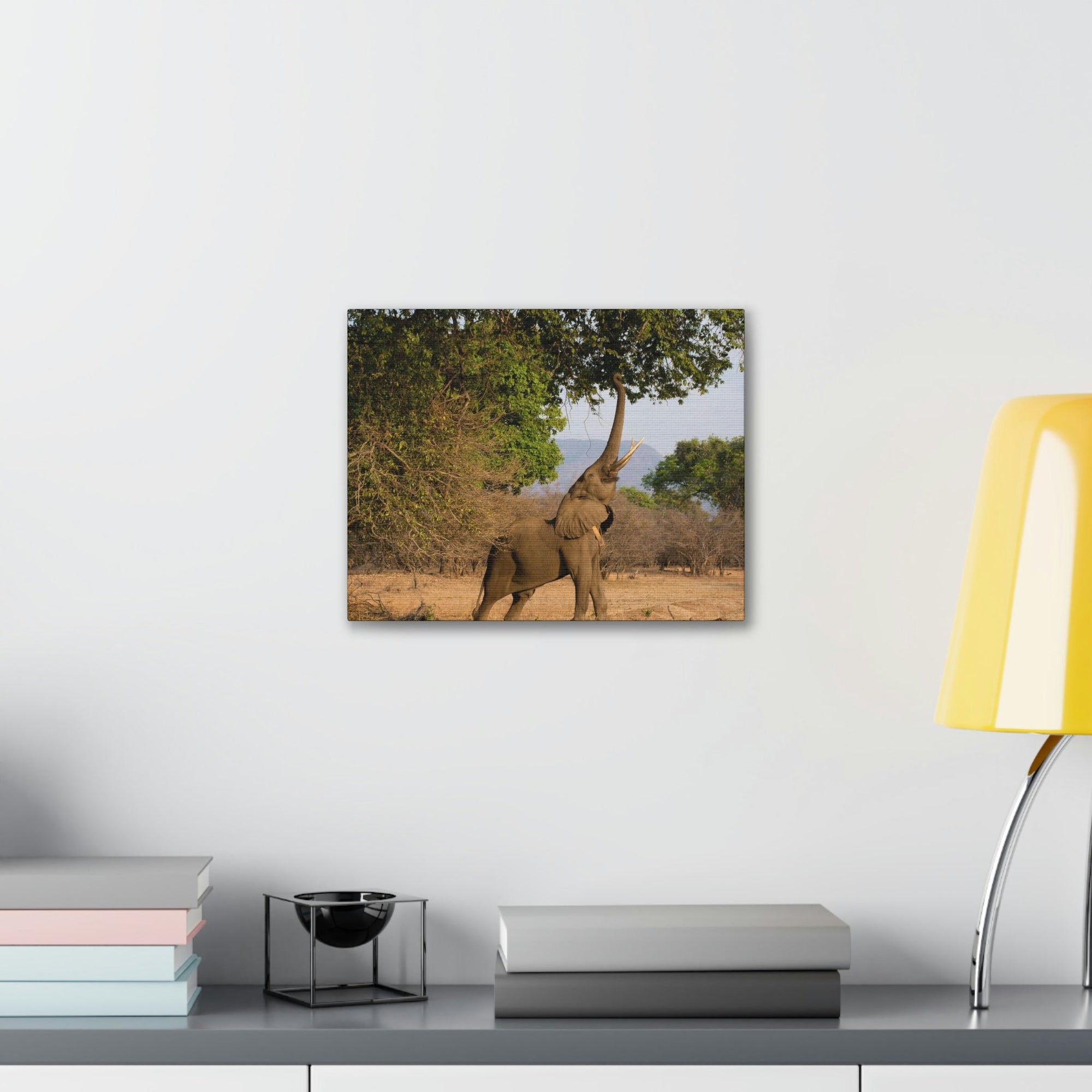 African Elephant Reaching Food Using Trunk Hungry African Elephant Outdoor Wall Art Ready to Hang Unframed-Express Your Love Gifts