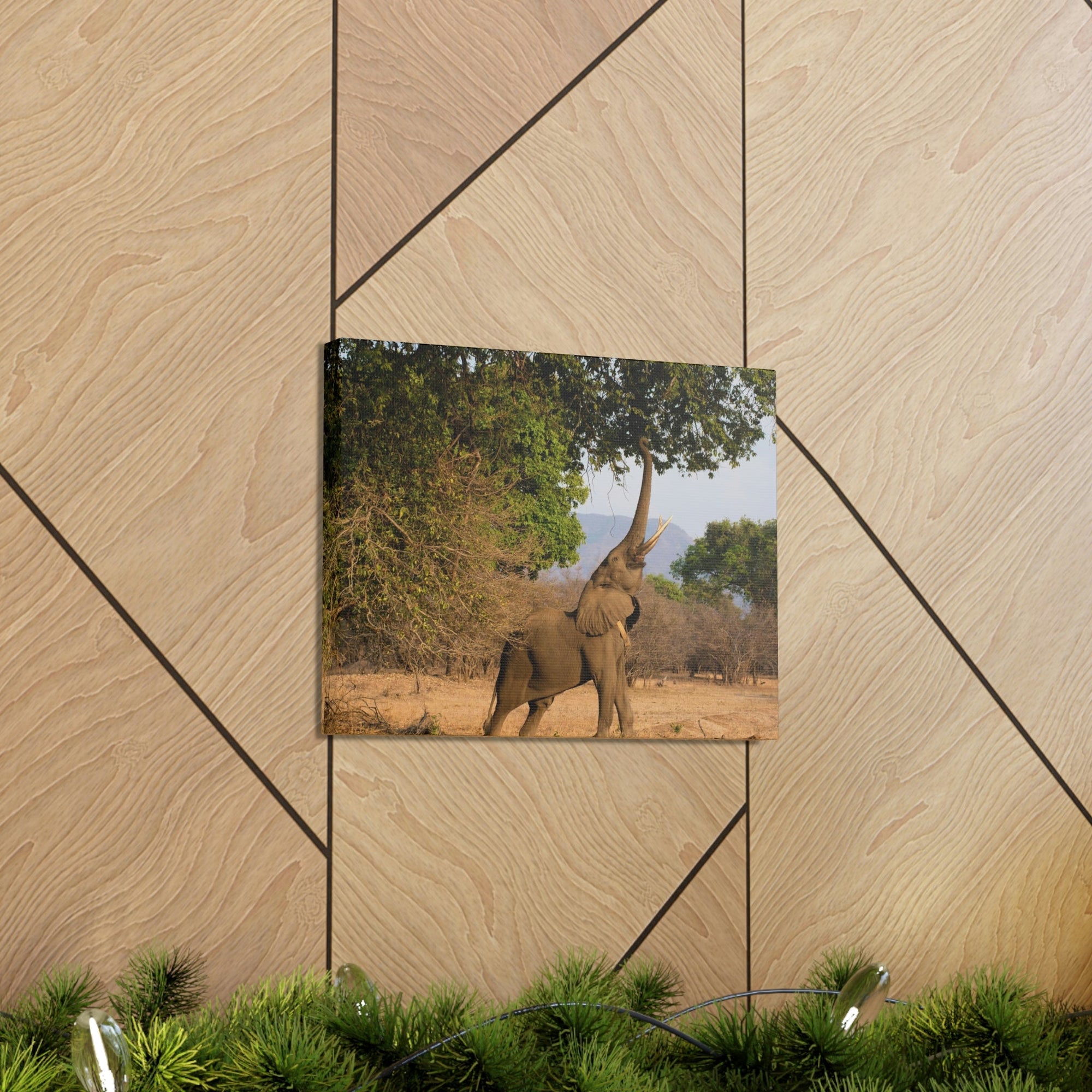 African Elephant Reaching Food Using Trunk Hungry African Elephant Outdoor Wall Art Ready to Hang Unframed-Express Your Love Gifts