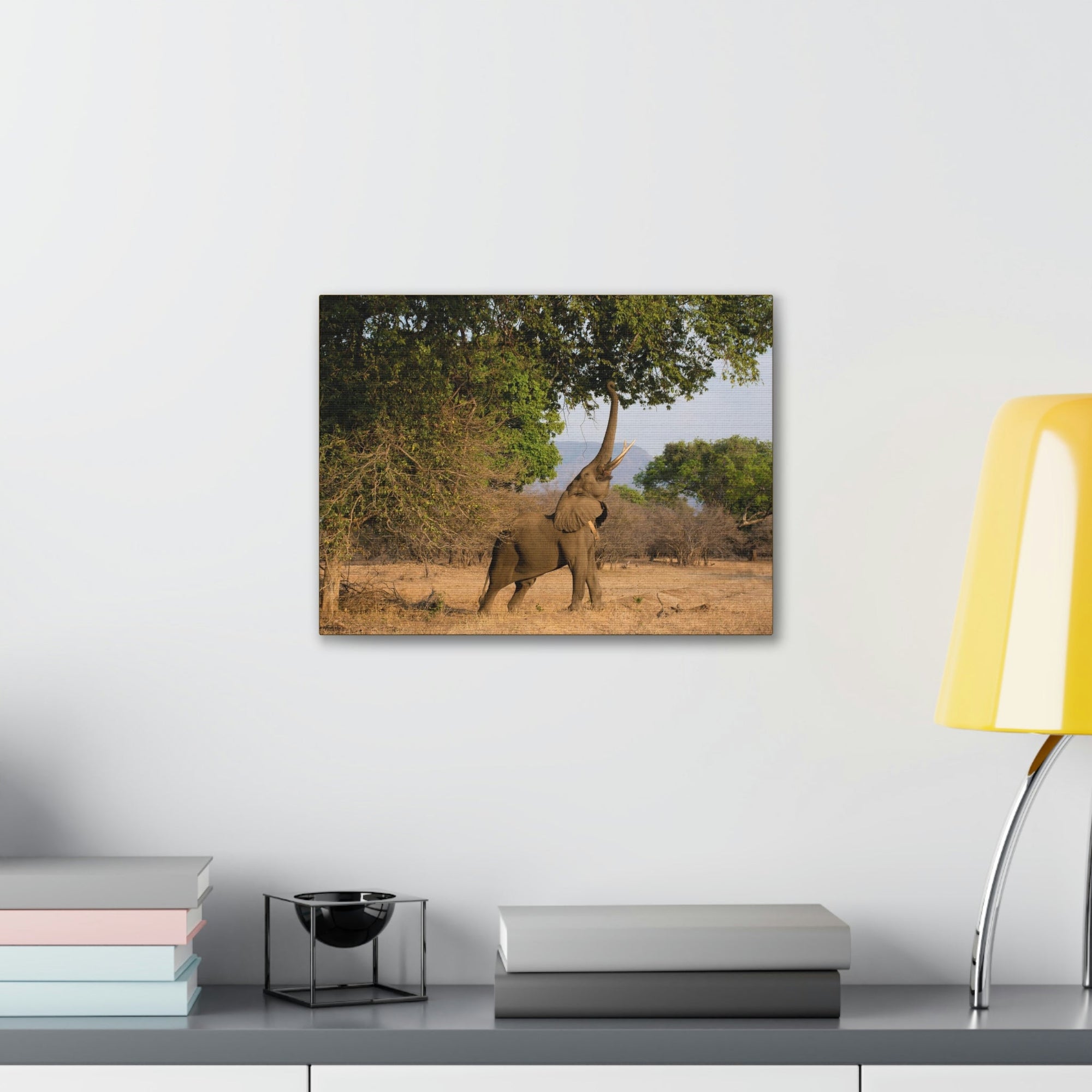 African Elephant Reaching Food Using Trunk Hungry African Elephant Outdoor Wall Art Ready to Hang Unframed-Express Your Love Gifts