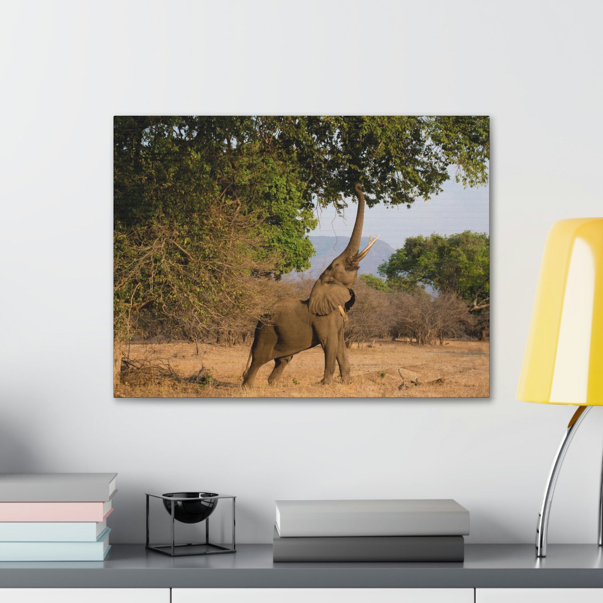 African Elephant Reaching Food Using Trunk Hungry African Elephant Outdoor Wall Art Ready to Hang Unframed-Express Your Love Gifts