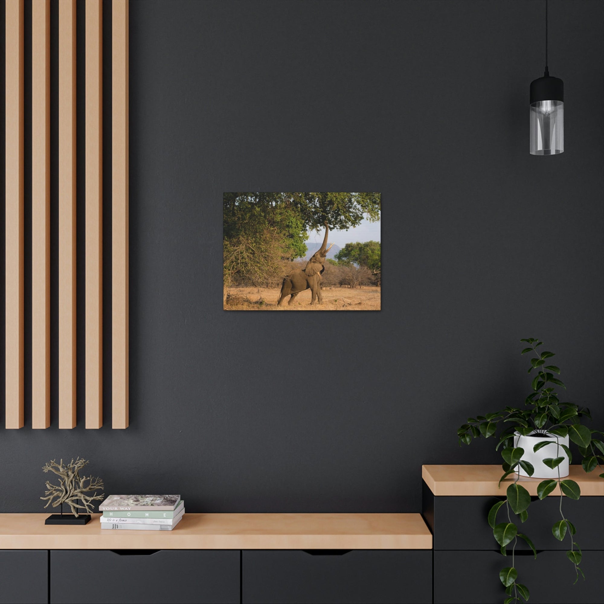 African Elephant Reaching Food Using Trunk Hungry African Elephant Outdoor Wall Art Ready to Hang Unframed-Express Your Love Gifts