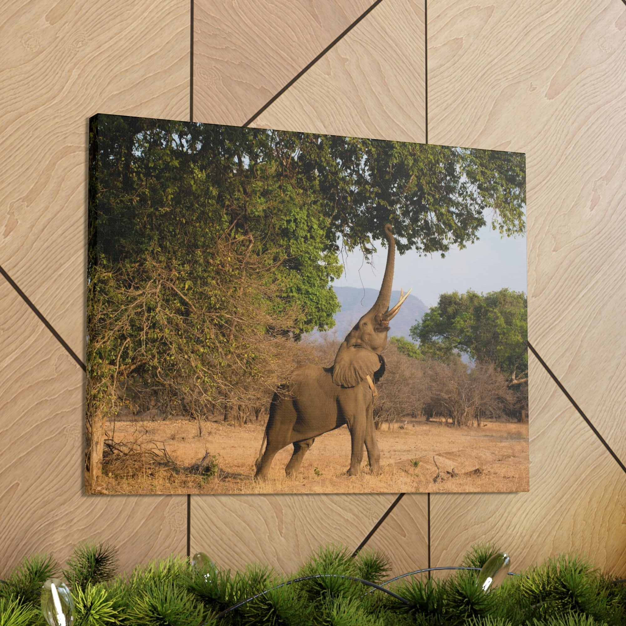 African Elephant Reaching Food Using Trunk Hungry African Elephant Outdoor Wall Art Ready to Hang Unframed-Express Your Love Gifts