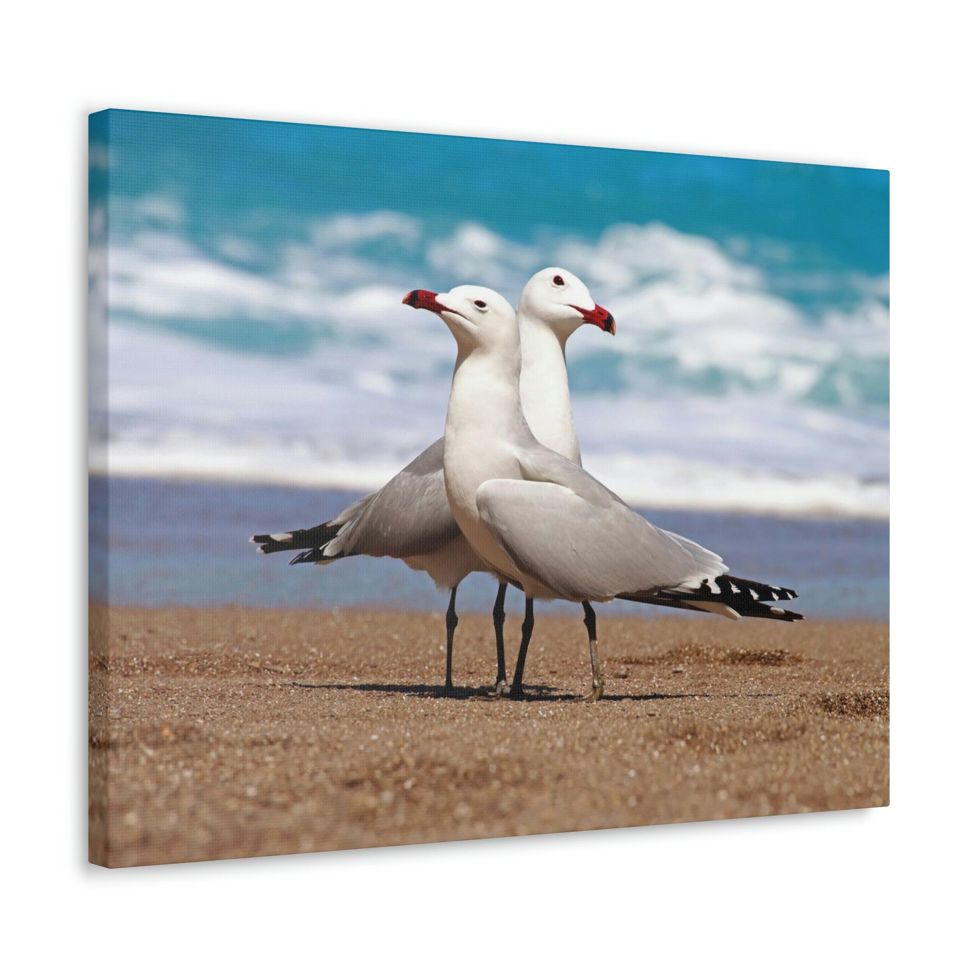 Scripture Walls Albatross Couple Albatross Troop Print Animal Wall Art Wildlife Canvas Prints Wall Art Ready to Hang Unframed-Express Your Love Gifts