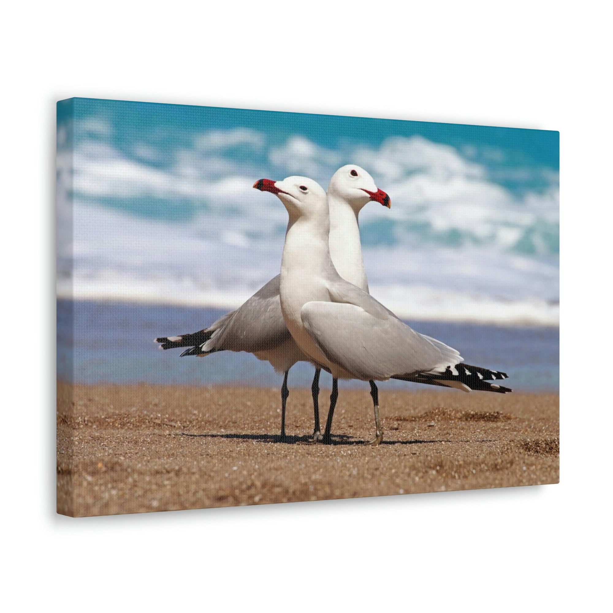 Scripture Walls Albatross Couple Albatross Troop Print Animal Wall Art Wildlife Canvas Prints Wall Art Ready to Hang Unframed-Express Your Love Gifts