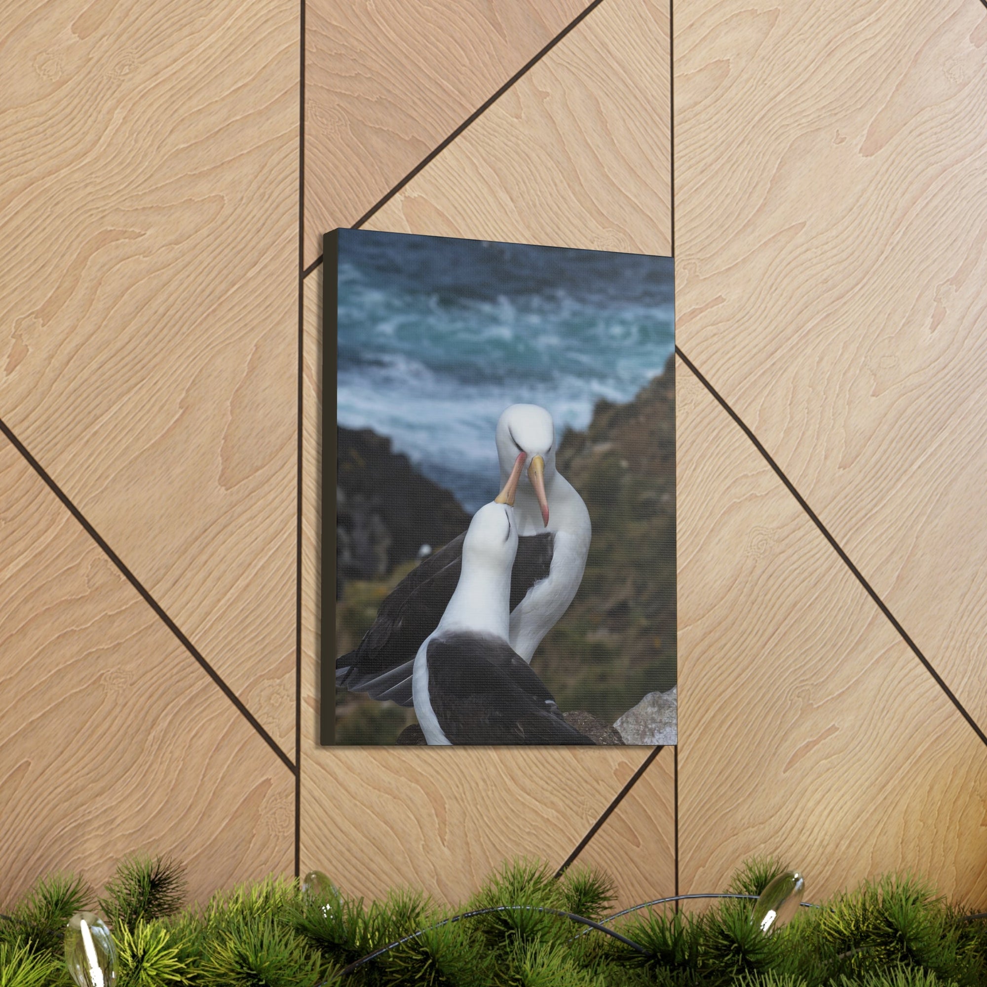 Albatross Couple Canvas Gallery Wraps Unframed-Express Your Love Gifts