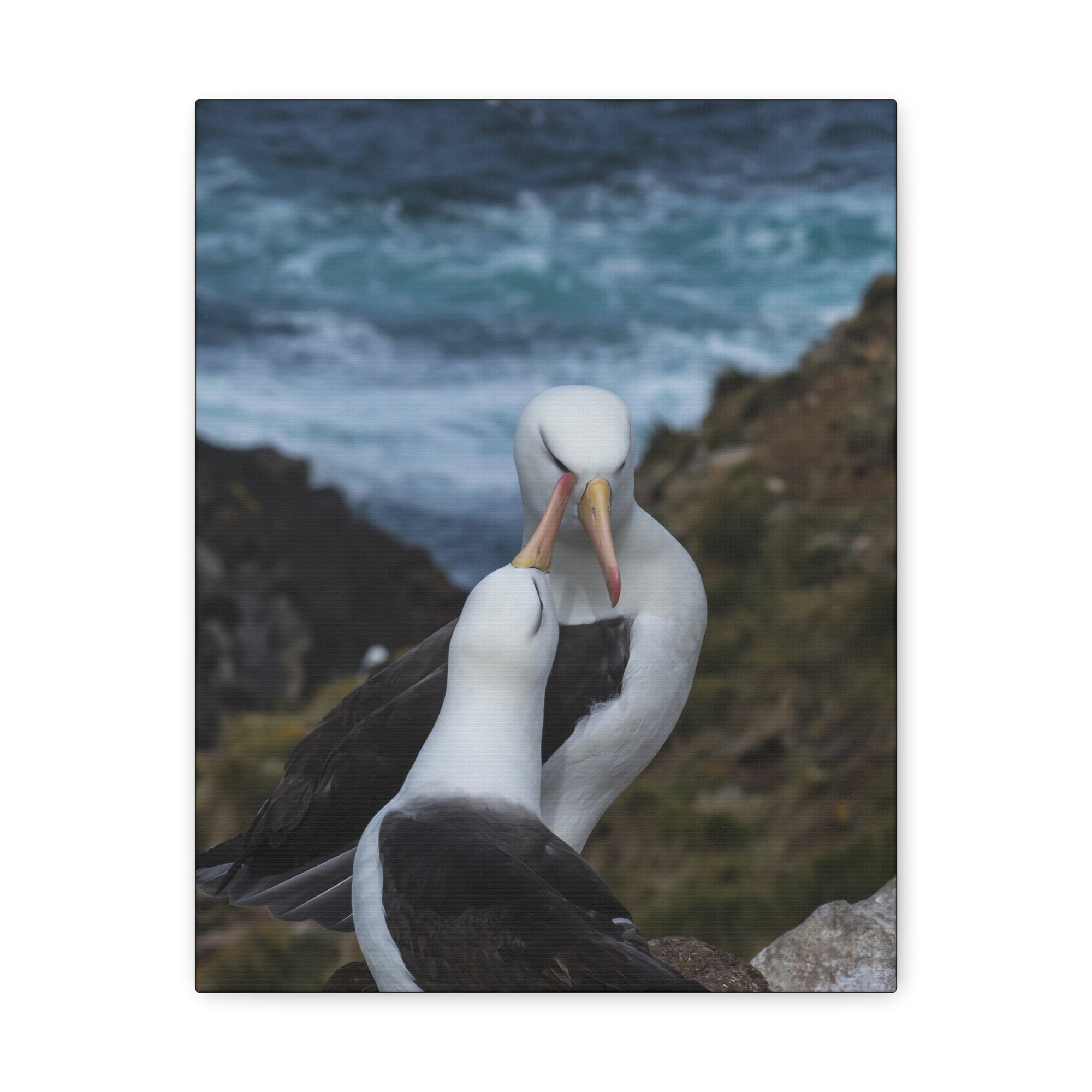 Albatross Couple Canvas Gallery Wraps Unframed-Express Your Love Gifts