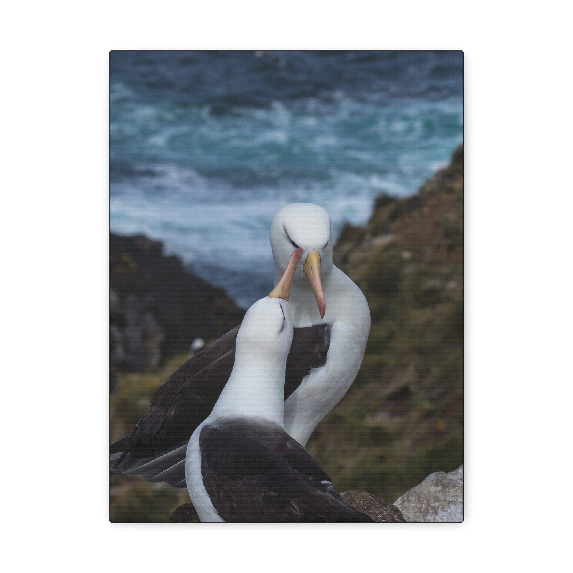 Albatross Couple Canvas Gallery Wraps Unframed-Express Your Love Gifts