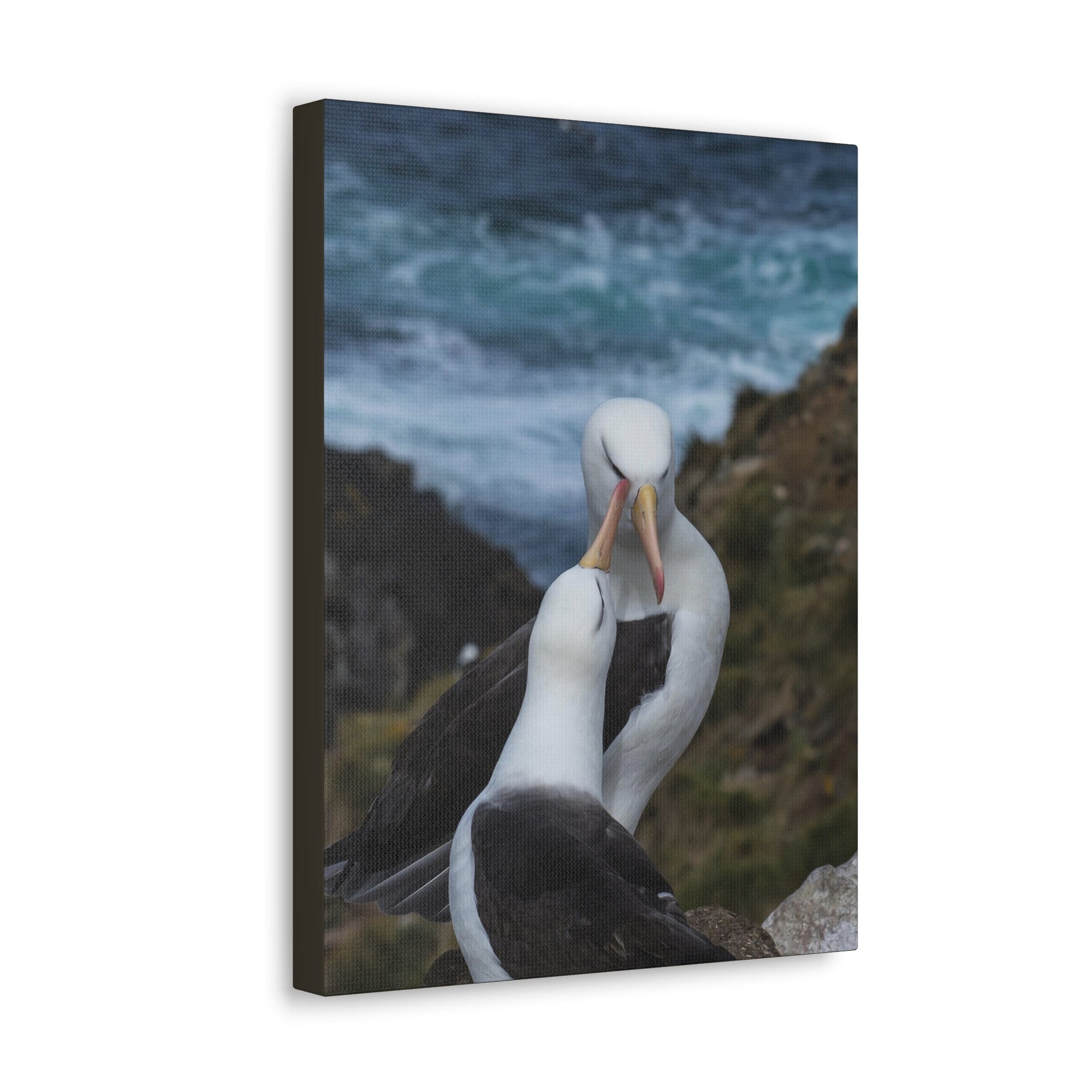 Albatross Couple Canvas Gallery Wraps Unframed-Express Your Love Gifts